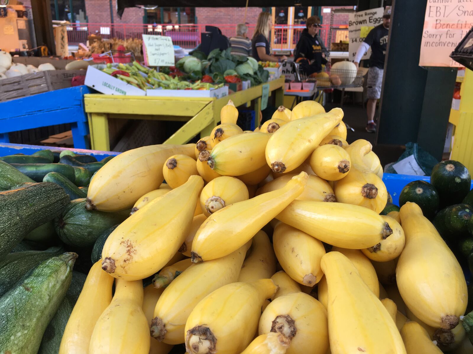 iPhone 6s back camera 4.15mm f/2.2 sample photo. Farm, produce, squash photography
