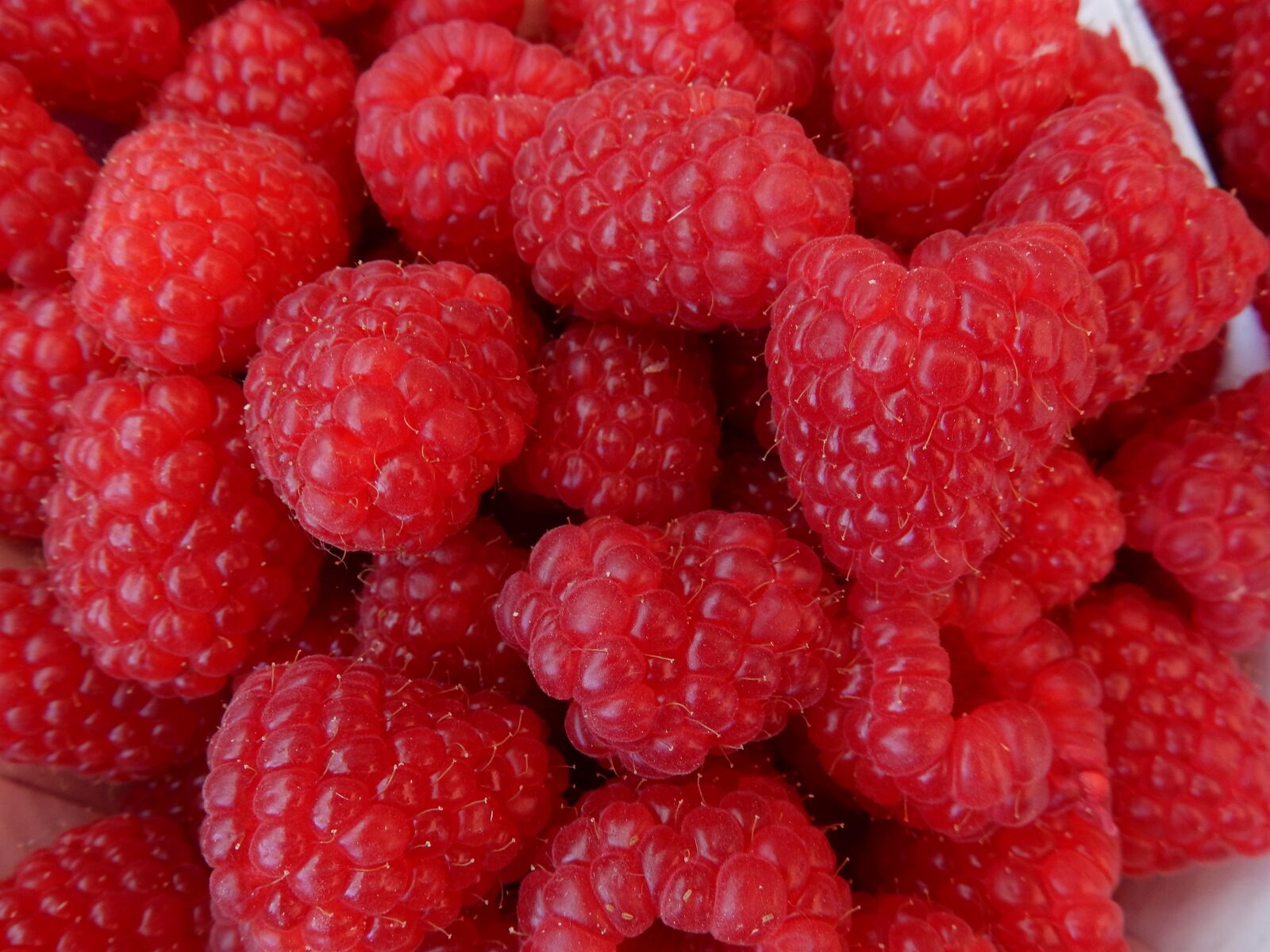 Nikon Coolpix S9900 sample photo. Raspberry, fruit, food photography
