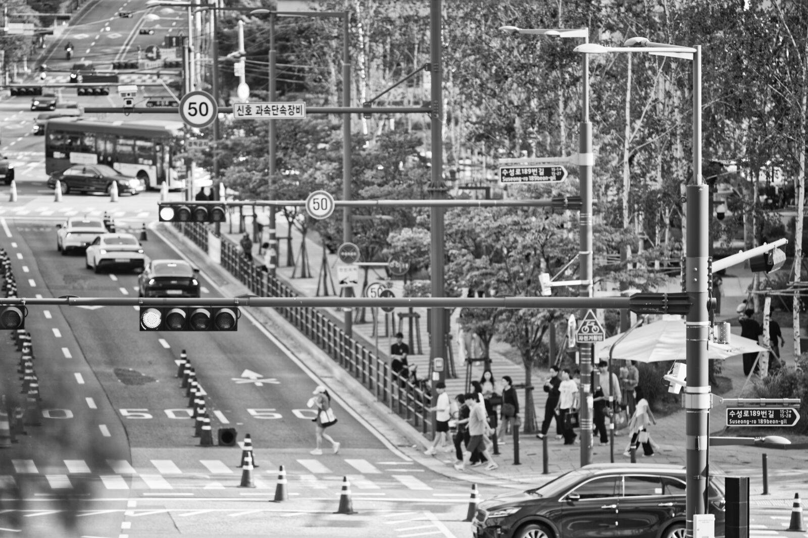 Nikon D700 + Manual Lens No CPU sample photo. Street of starfield suwon photography