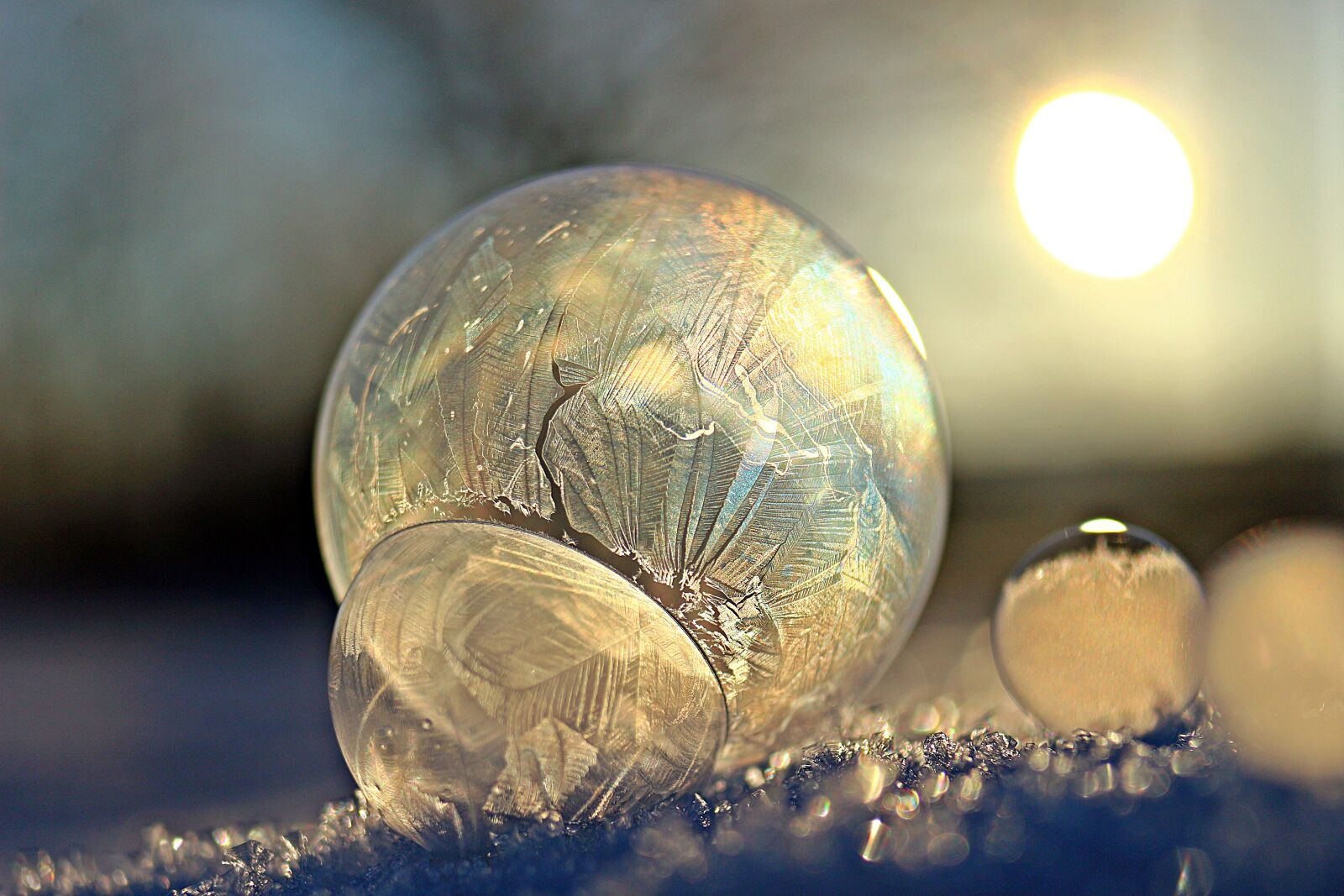 Canon EOS 100D (EOS Rebel SL1 / EOS Kiss X7) sample photo. Eiskristalle, soap bubble, frost photography
