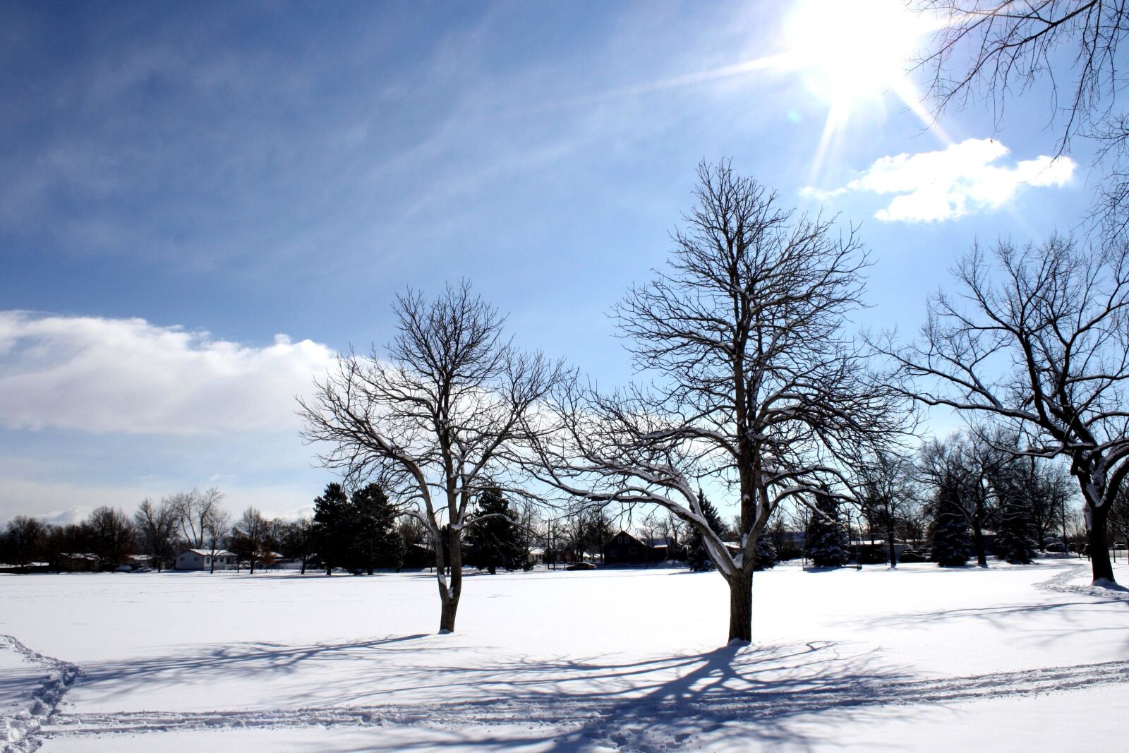 f/3.5-5.6 IS sample photo. Sunny day, sunshine, winter photography