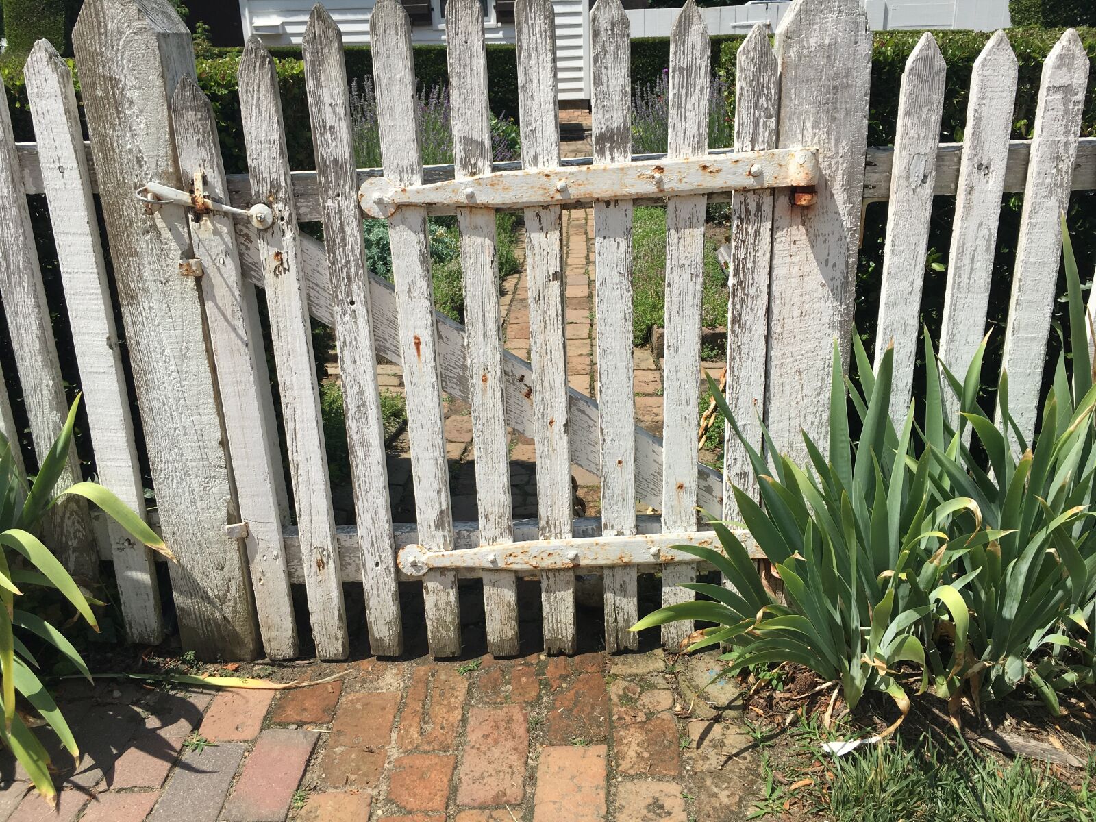 Apple iPhone 6s sample photo. Fence, america, white photography