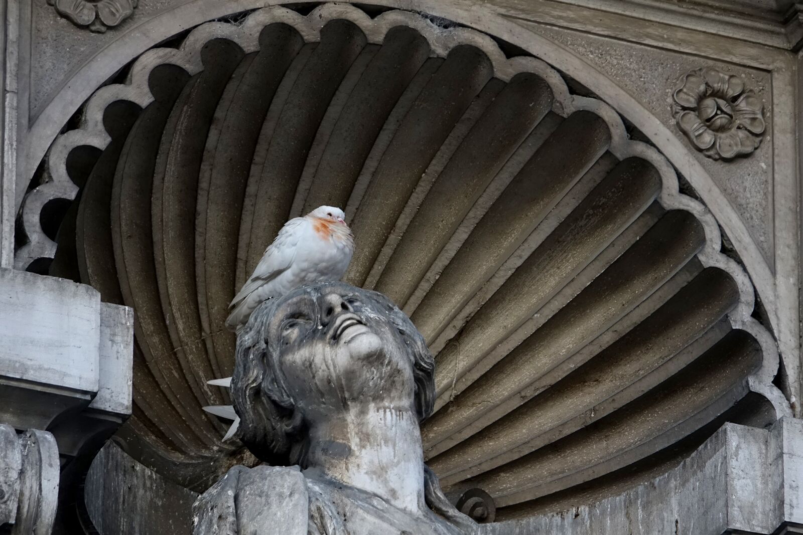 Sony Cyber-shot DSC-RX10 III sample photo. Architecture, dove, old photography
