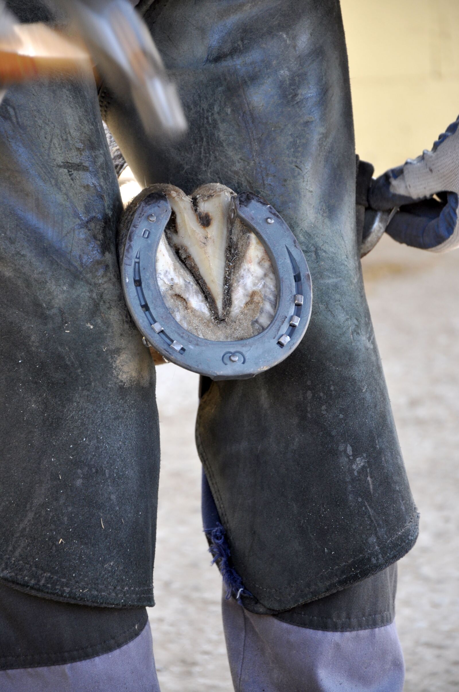 Nikon D90 sample photo. Farrier, shoer, horseshoe photography