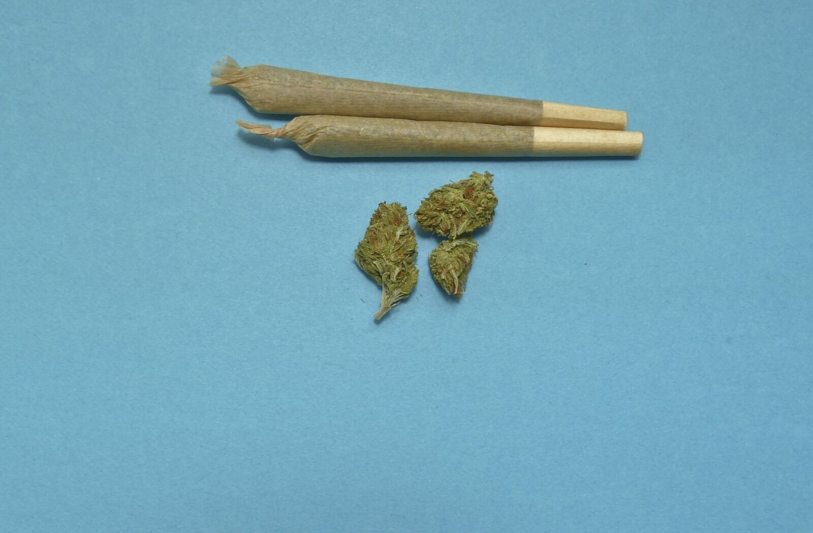 Panasonic Lumix DMC-FZ200 sample photo. Marijuana, medical, weed photography
