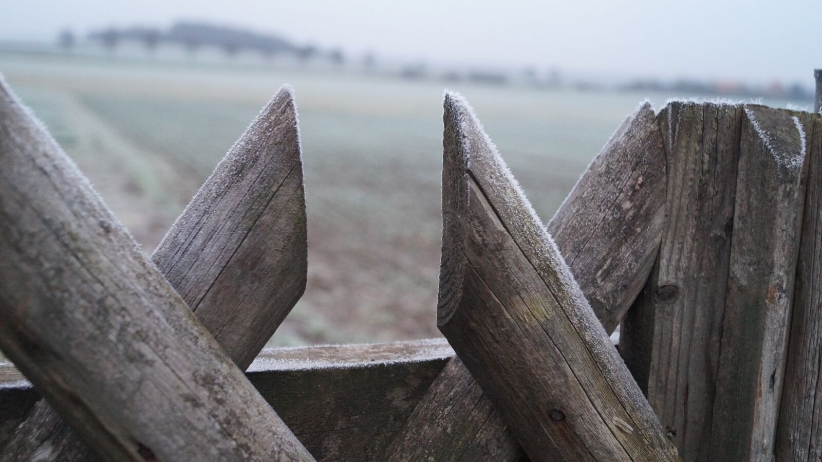 Sony DT 18-55mm F3.5-5.6 SAM II sample photo. Fence, dew, wood fence photography