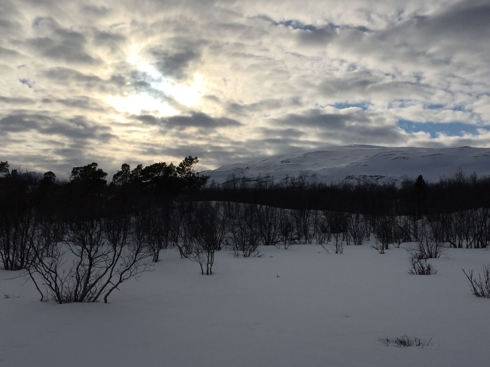 Apple iPhone 6 sample photo. Abisko, snow, sweden photography