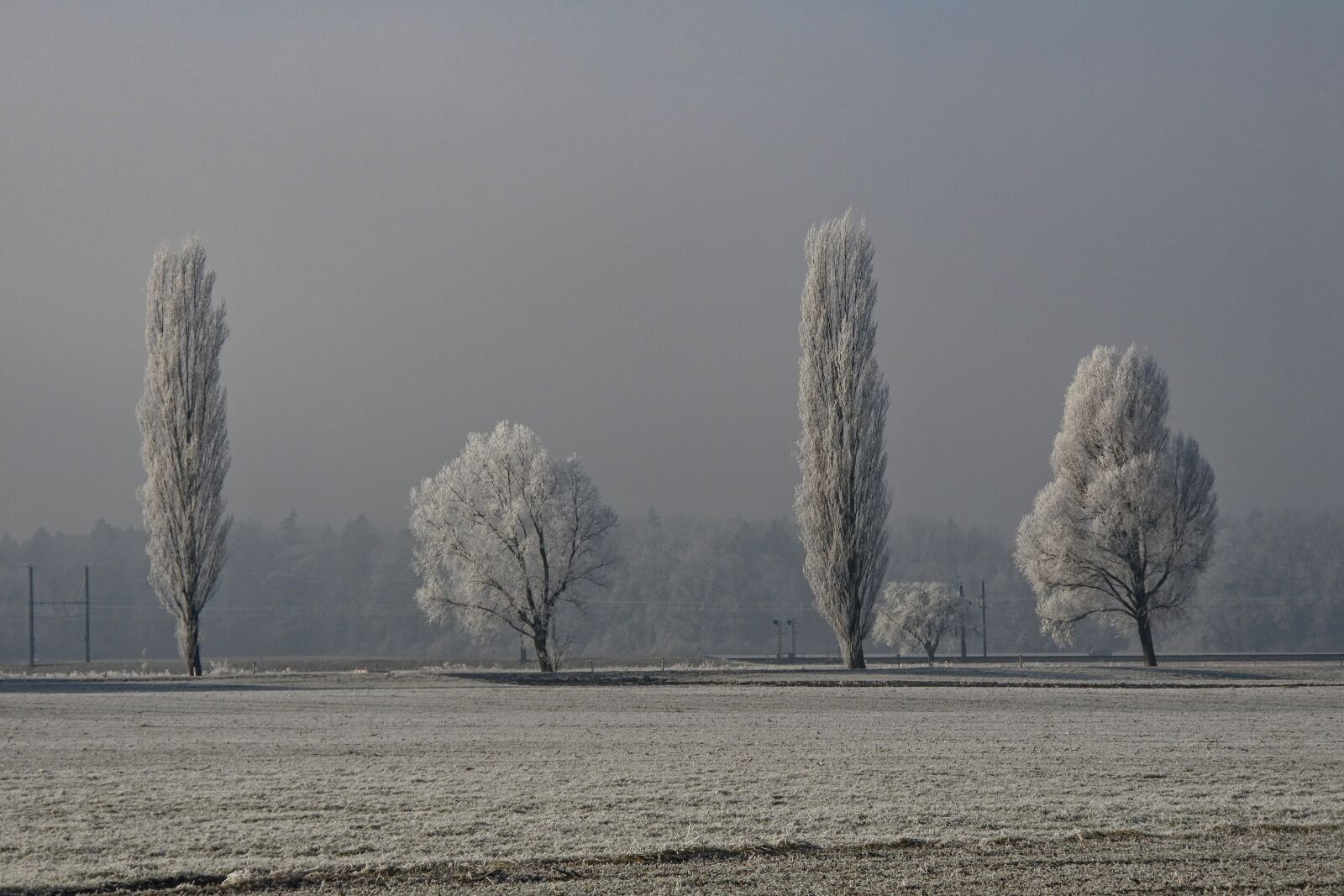 1 NIKKOR VR 10-100mm f/4-5.6 sample photo. Fog, cold, landscape photography