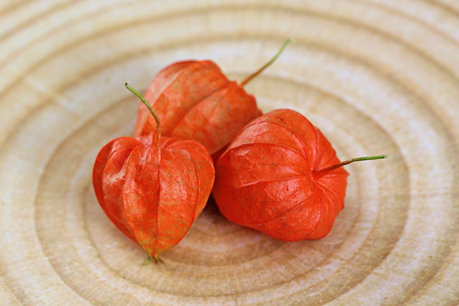 Canon EF 100mm F2.8L Macro IS USM sample photo. Physalis, vegetable, berry photography