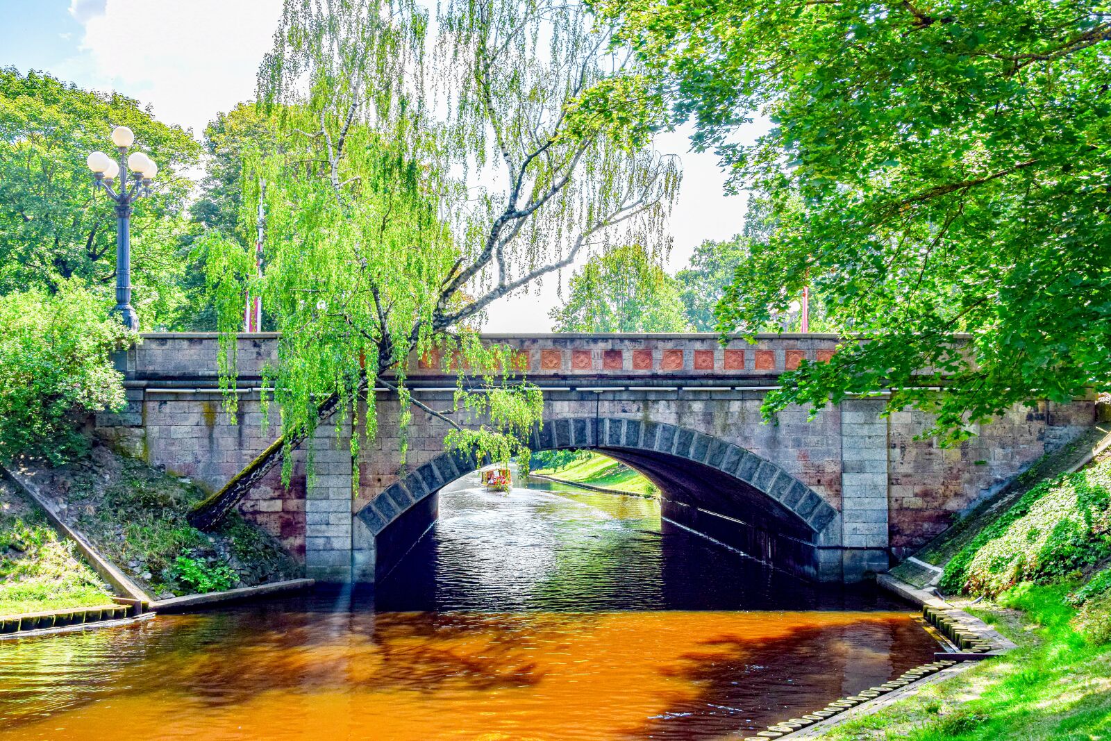 Nikon D5300 sample photo. Bridge, nature, forest photography