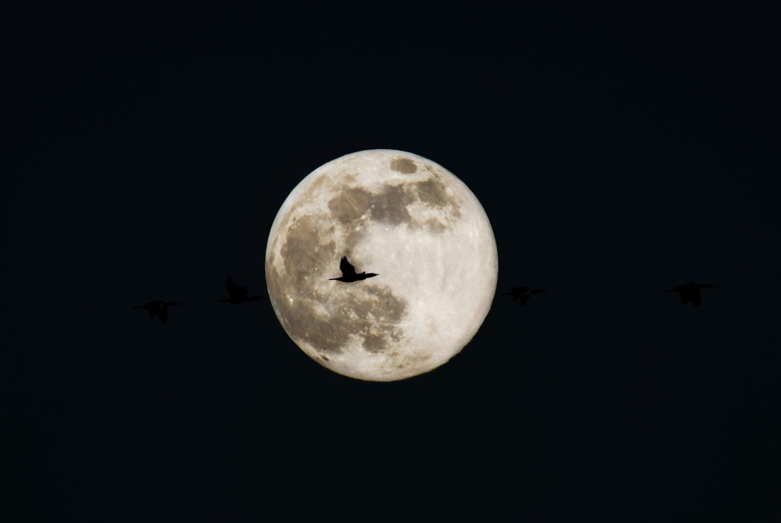 Nikon D80 sample photo. Moon, full moon, night photography