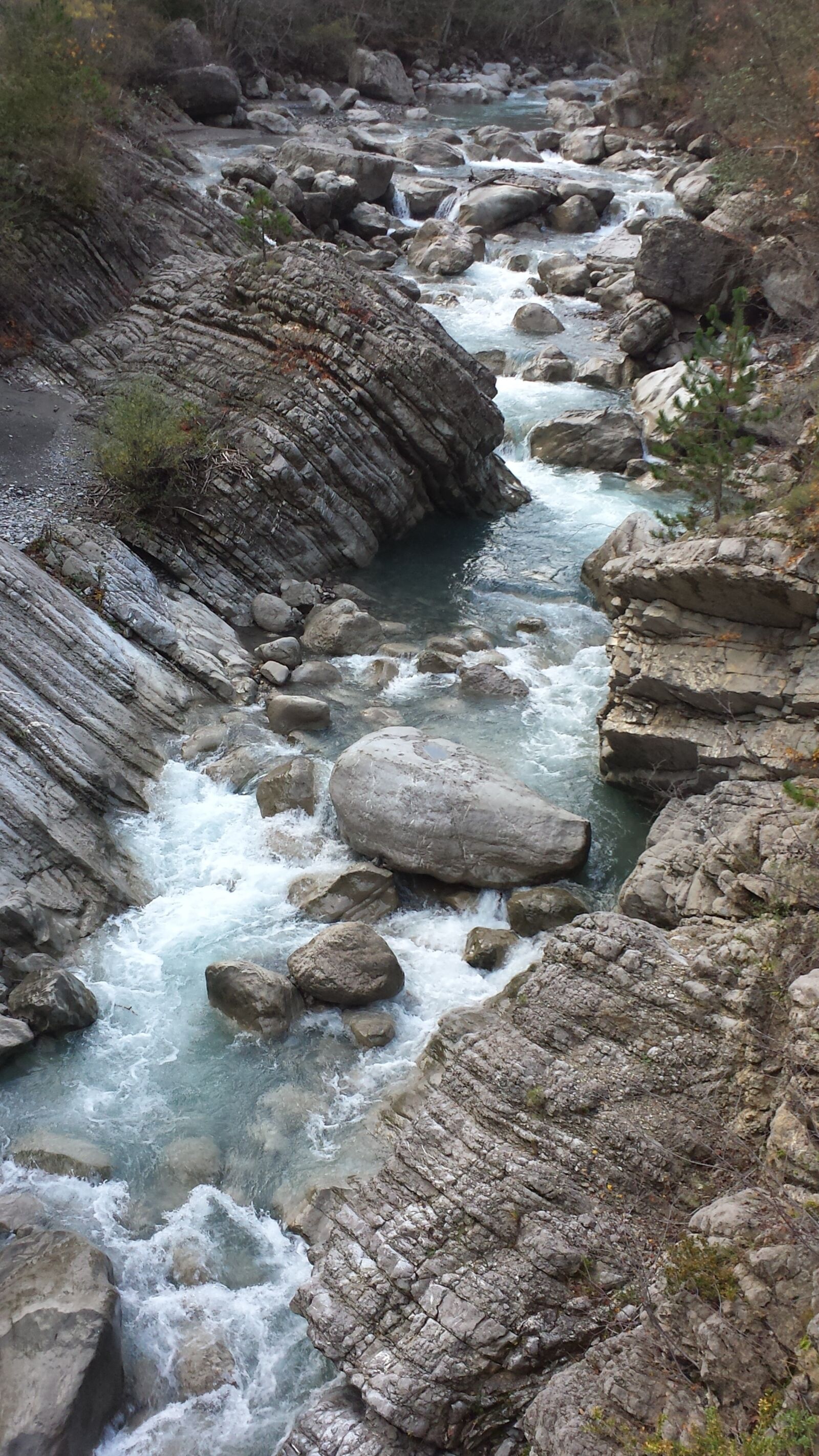 Samsung Galaxy S4 sample photo. Nice, france, nature photography