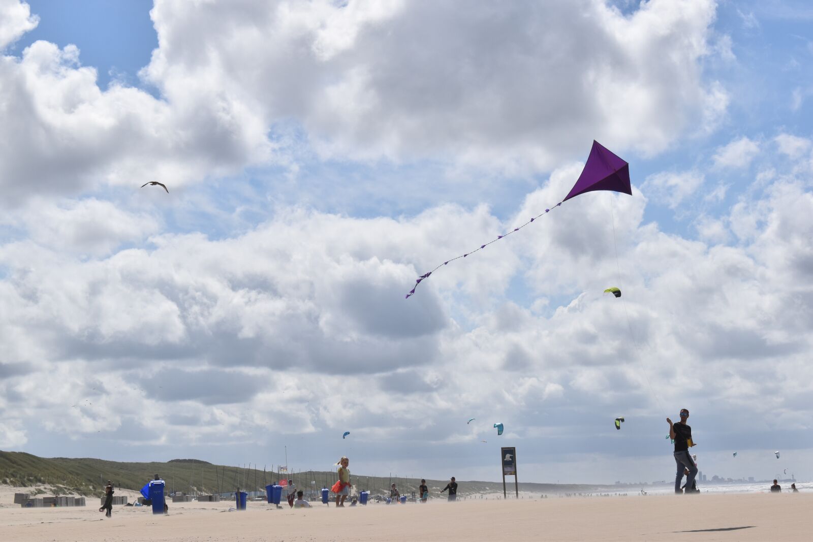 Nikon D5600 sample photo. Kids, play, beach photography