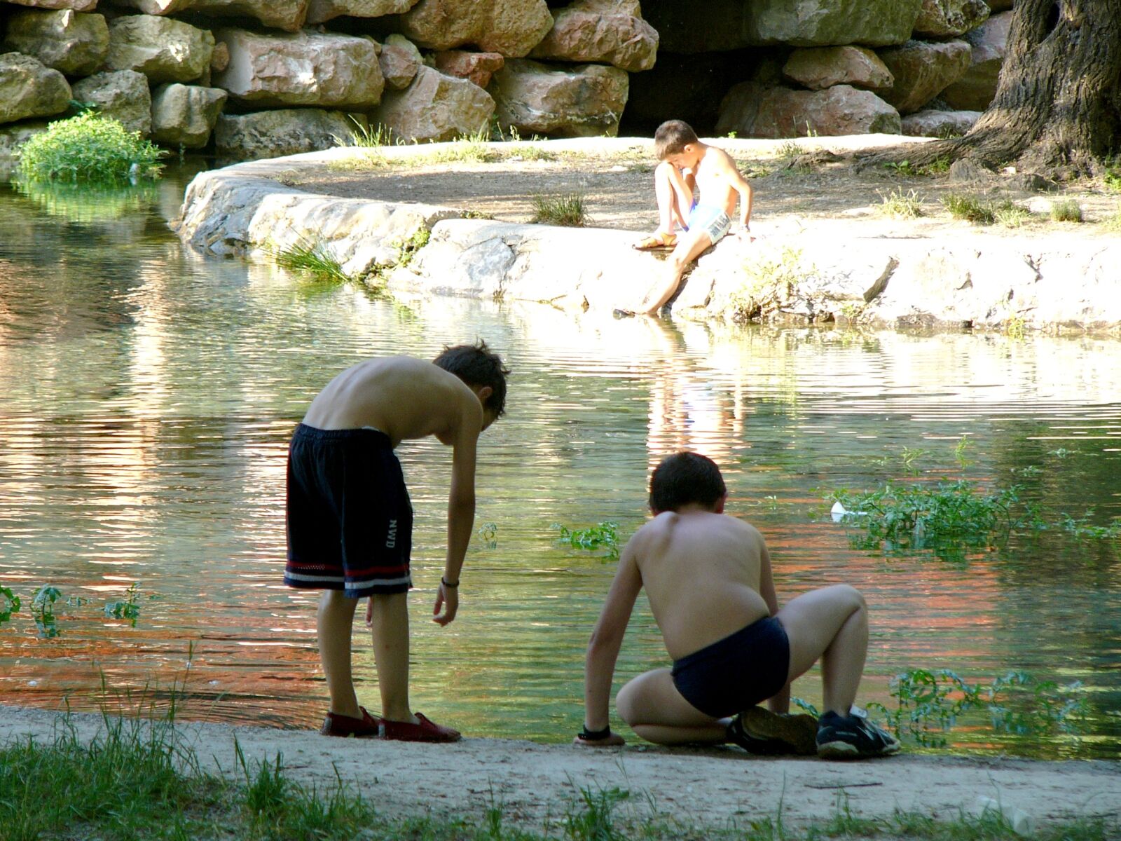 Panasonic DMC-FZ10 sample photo. Andalusia, jaen, river, spring photography