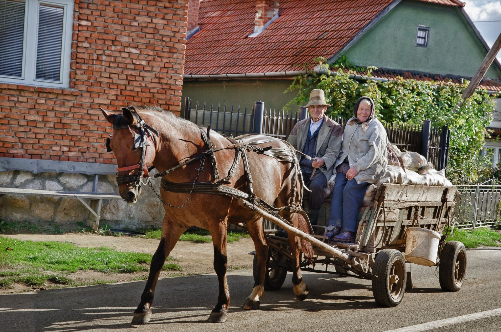 Nikon D7000 sample photo. People, horse, wagon photography