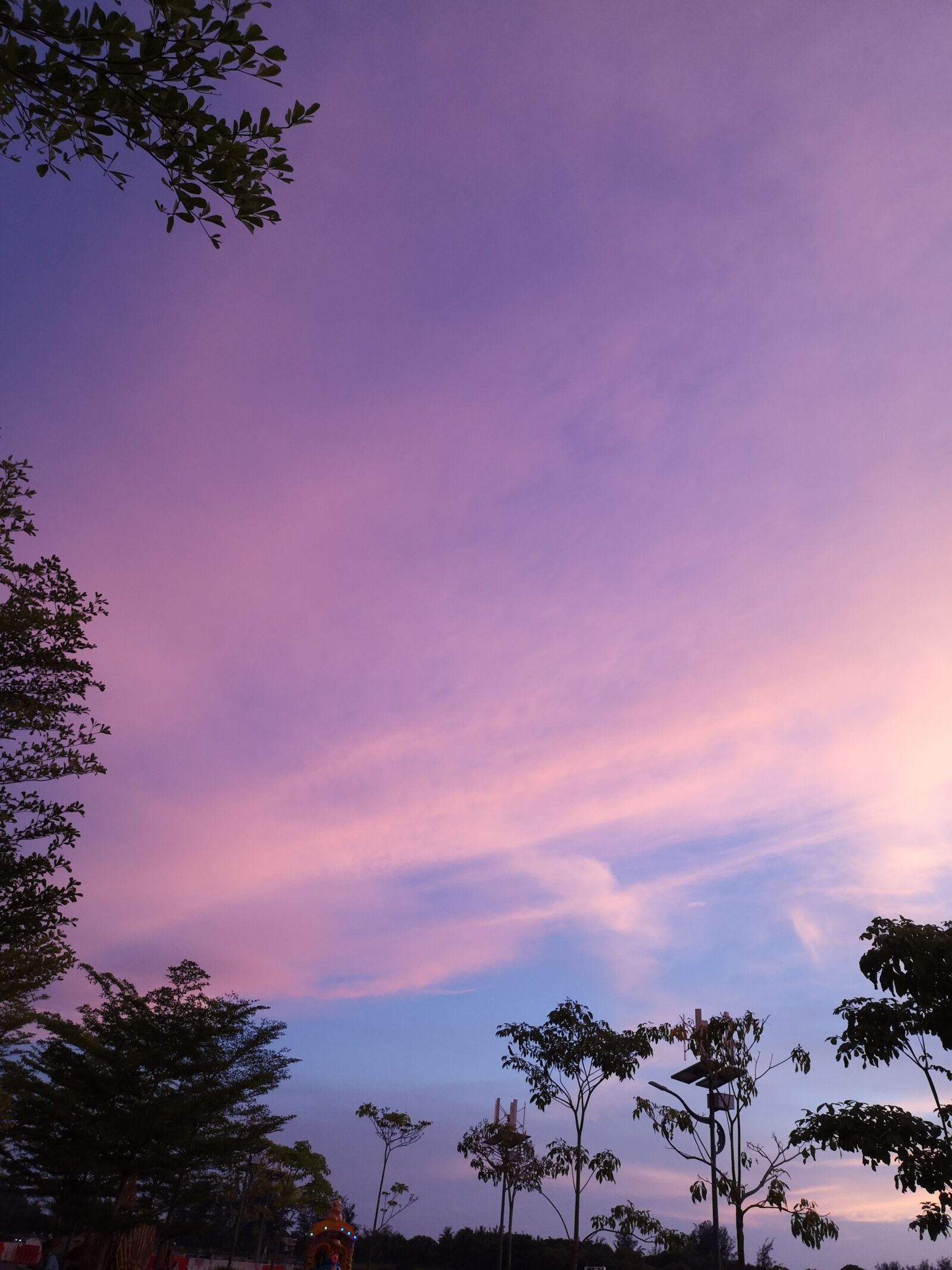 HUAWEI P20 sample photo. Purple, sky, nature photography