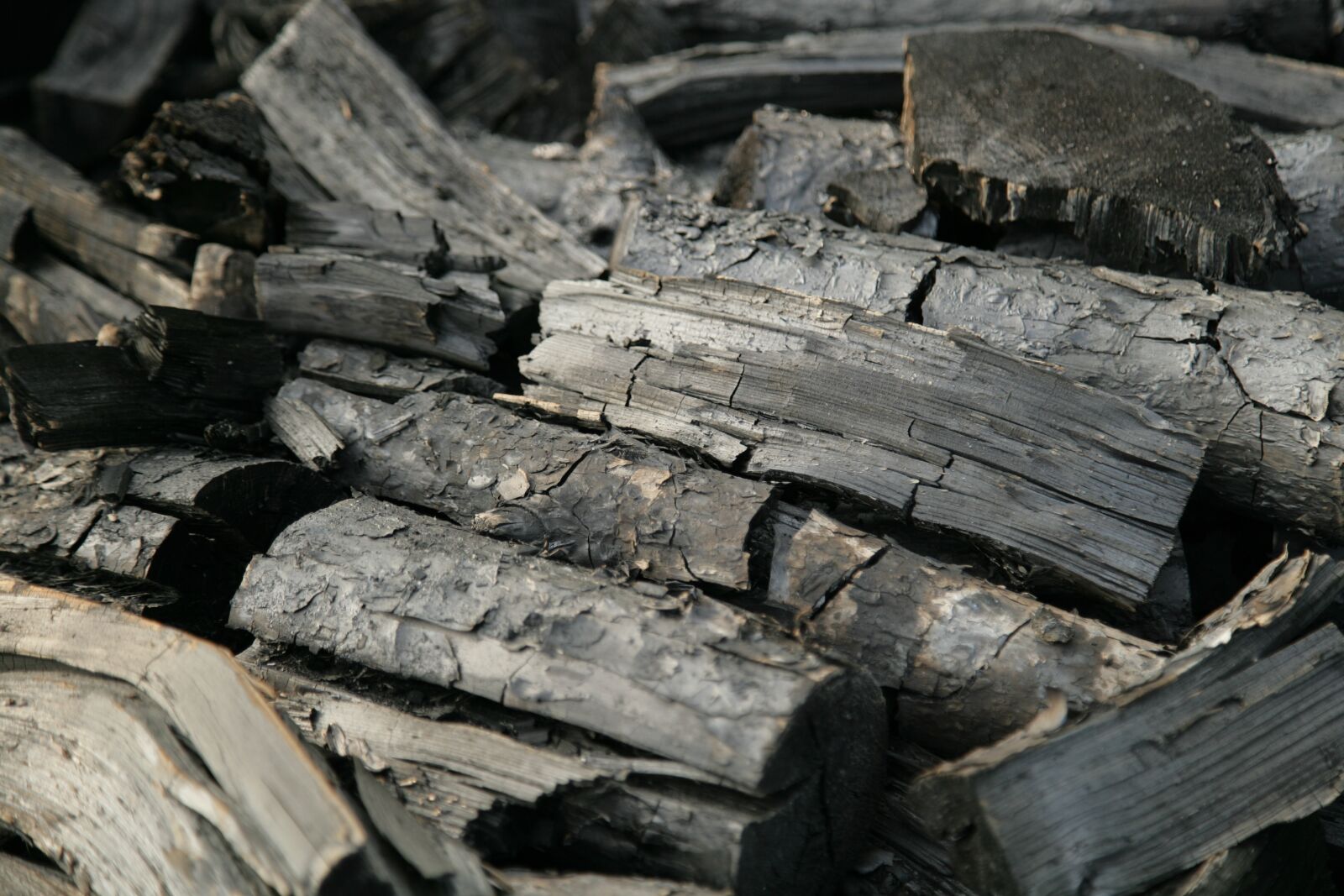 Canon EOS-1Ds Mark II sample photo. Coal, firewood, black photography