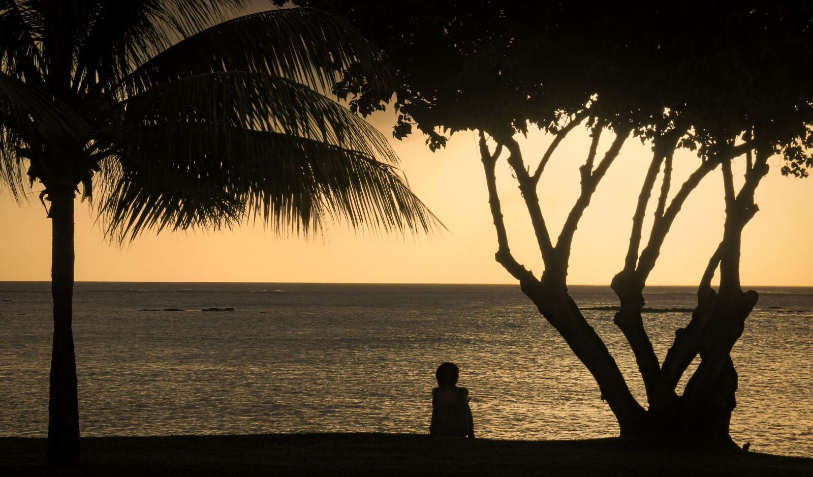 Canon EF-S 18-200mm F3.5-5.6 IS sample photo. Sunset, palms, tropical photography