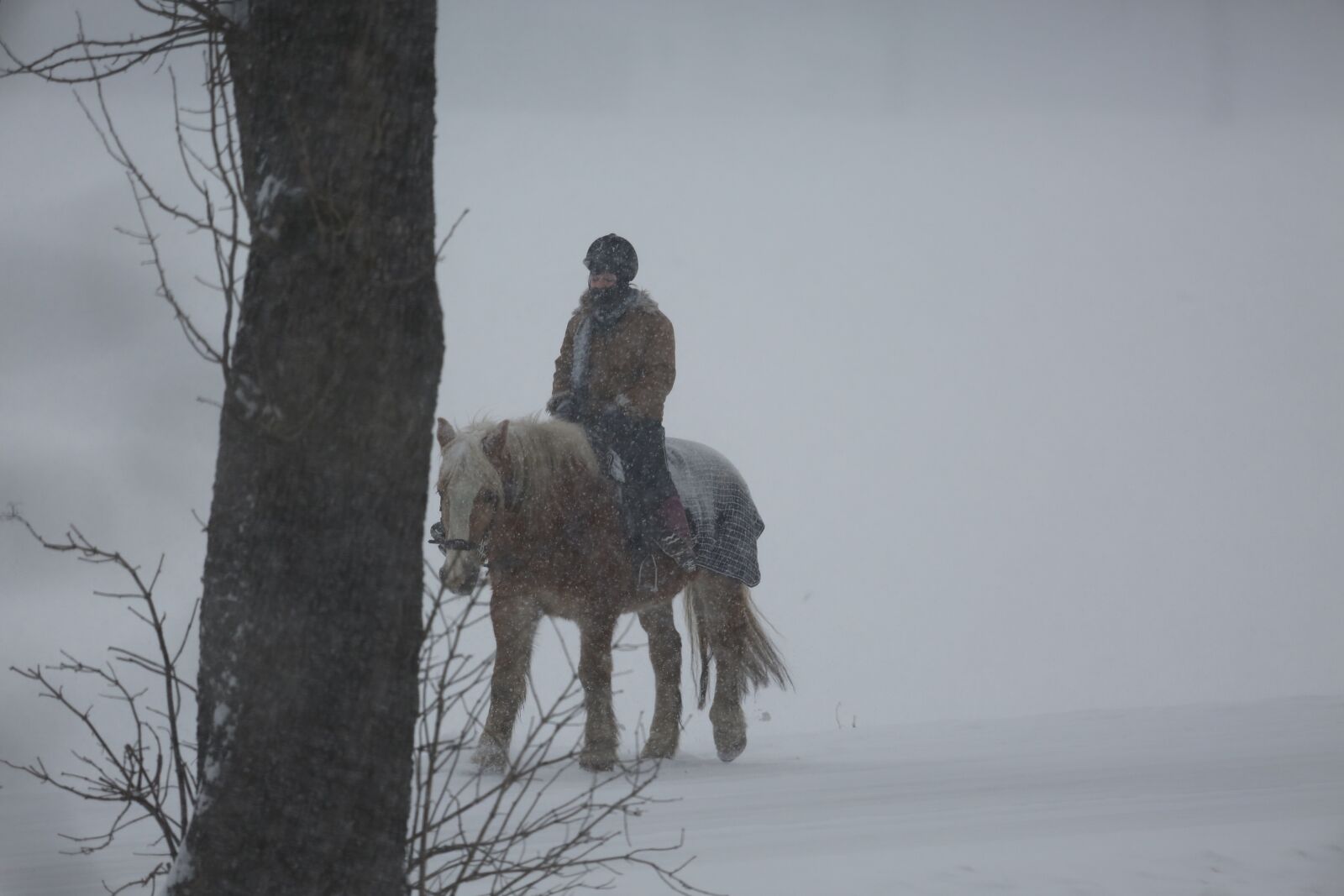 Canon EF 100-400mm F4.5-5.6L IS USM sample photo. Reiter, snow, winter photography