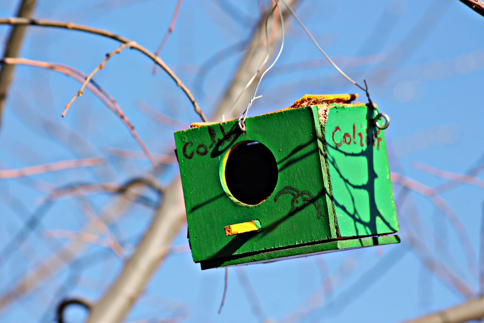 Canon EOS 1100D (EOS Rebel T3 / EOS Kiss X50) sample photo. Nature, bird, nest photography