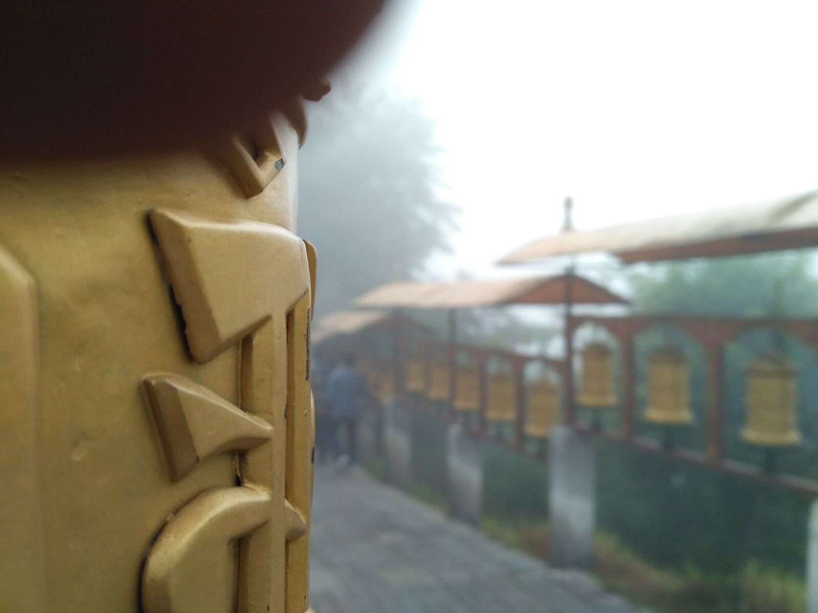 Xiaomi Redmi 3S sample photo