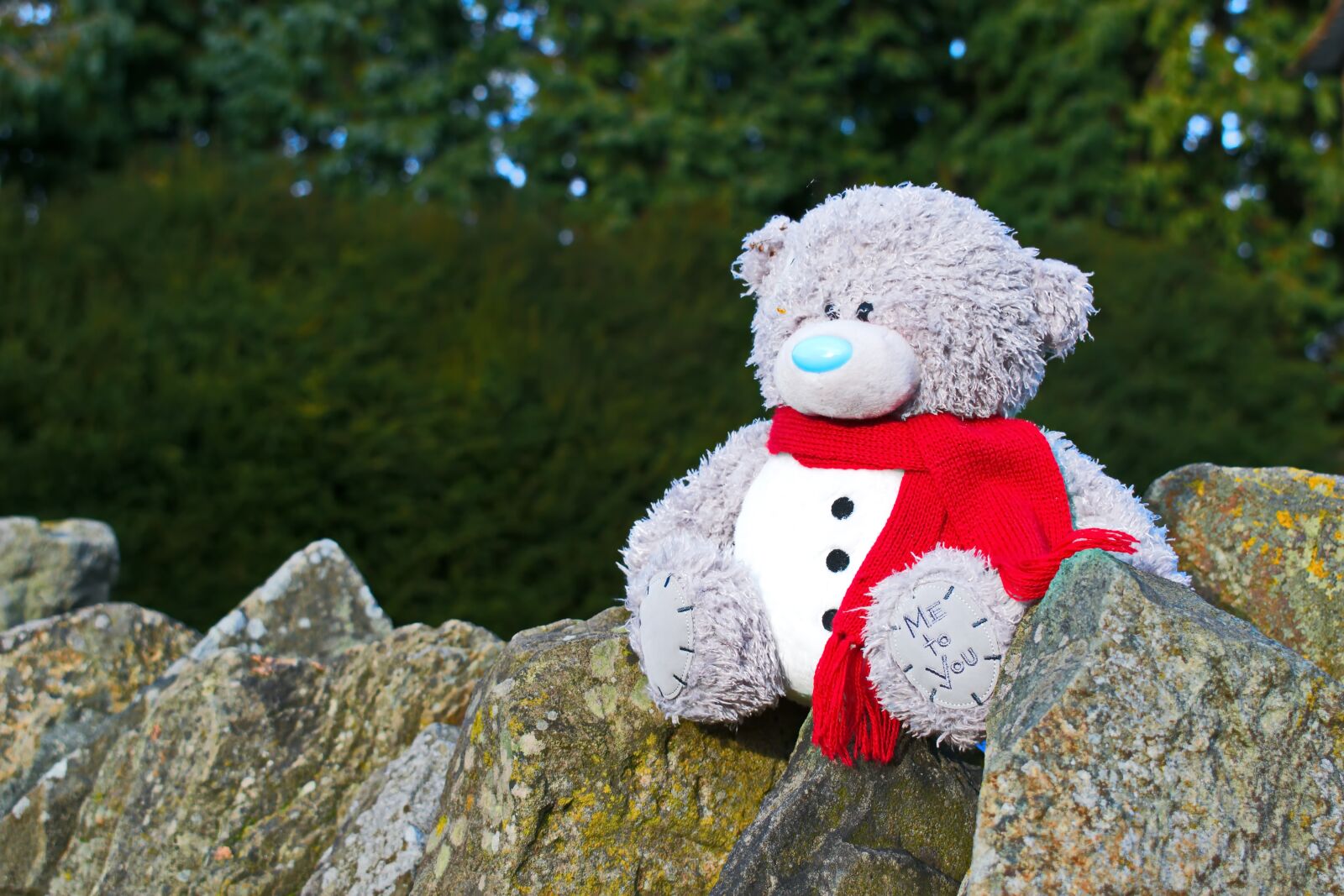 Nikon D3300 sample photo. Teddy bear, stone, cute photography