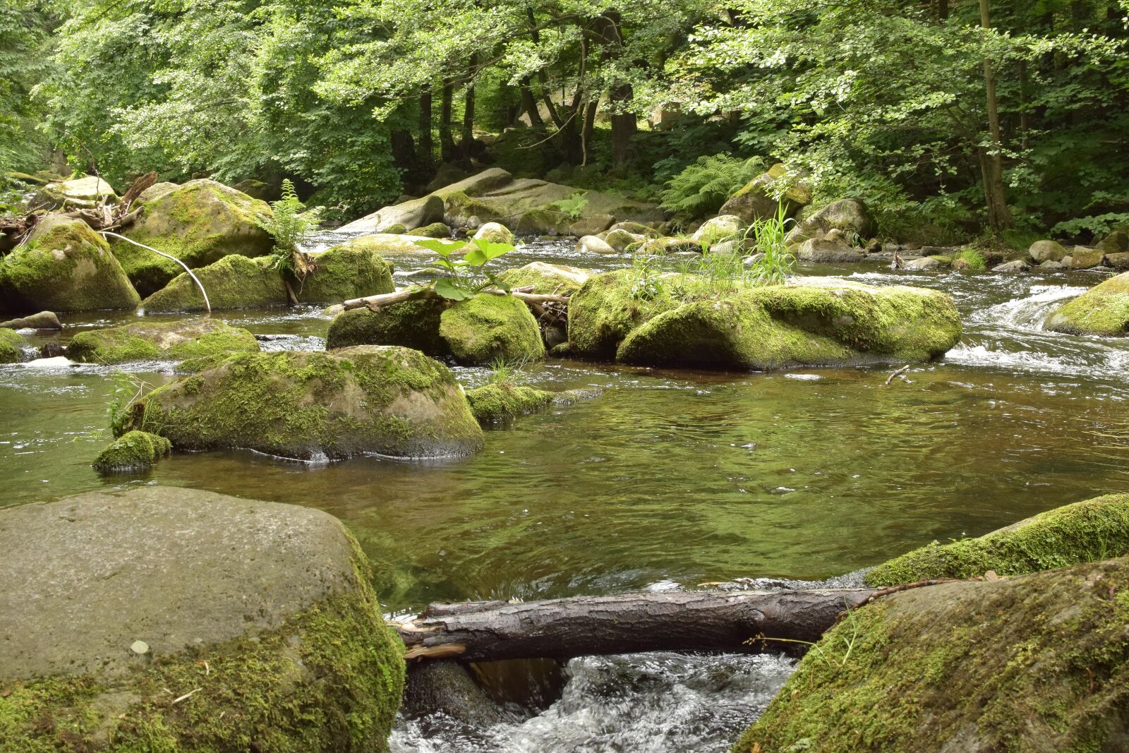 Nikon D5300 sample photo. Bode, river, water photography