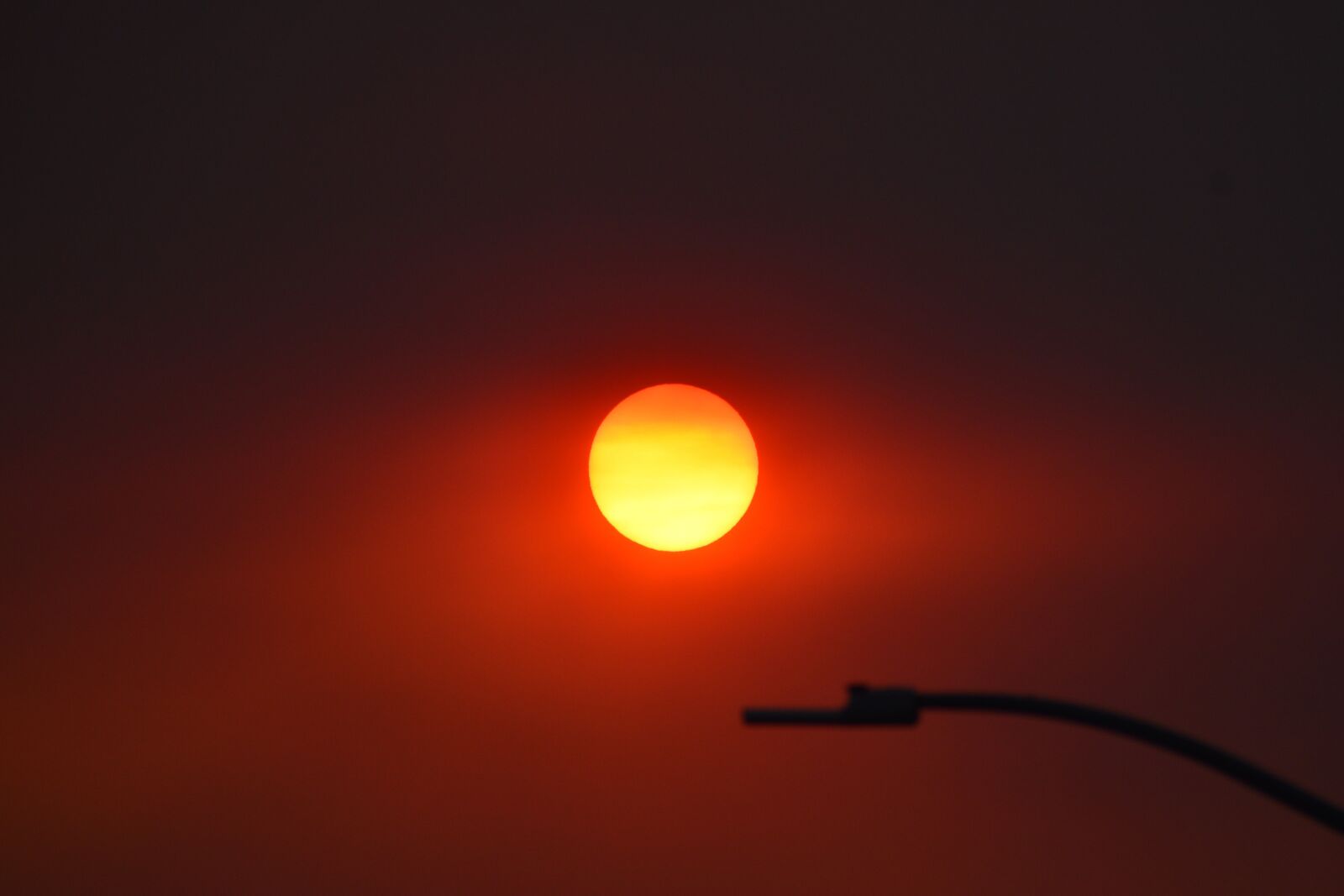 Nikon D3500 sample photo. Sun, heat wave, summer photography