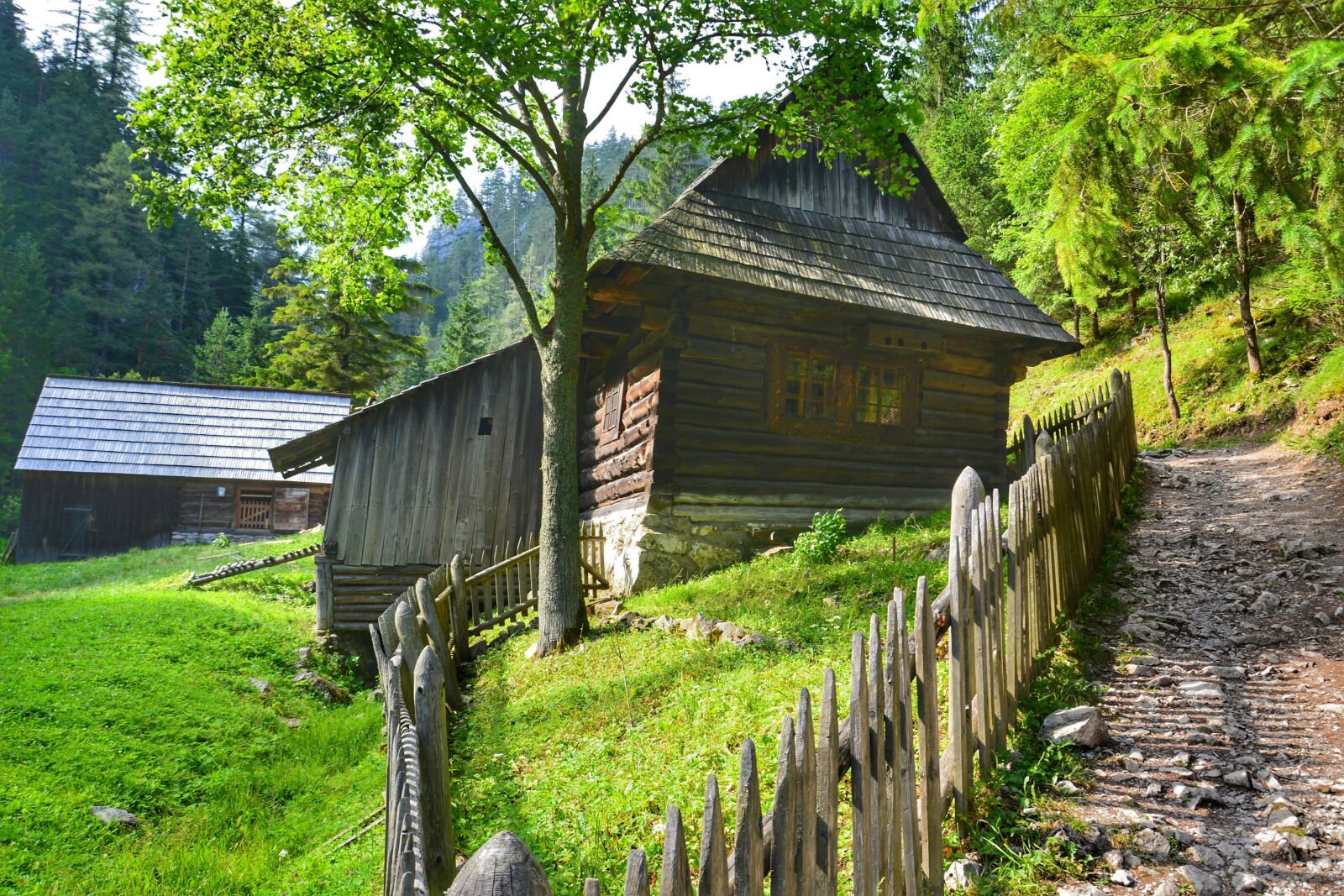 Nikon D5200 sample photo. Traveling, nature, slovakia photography