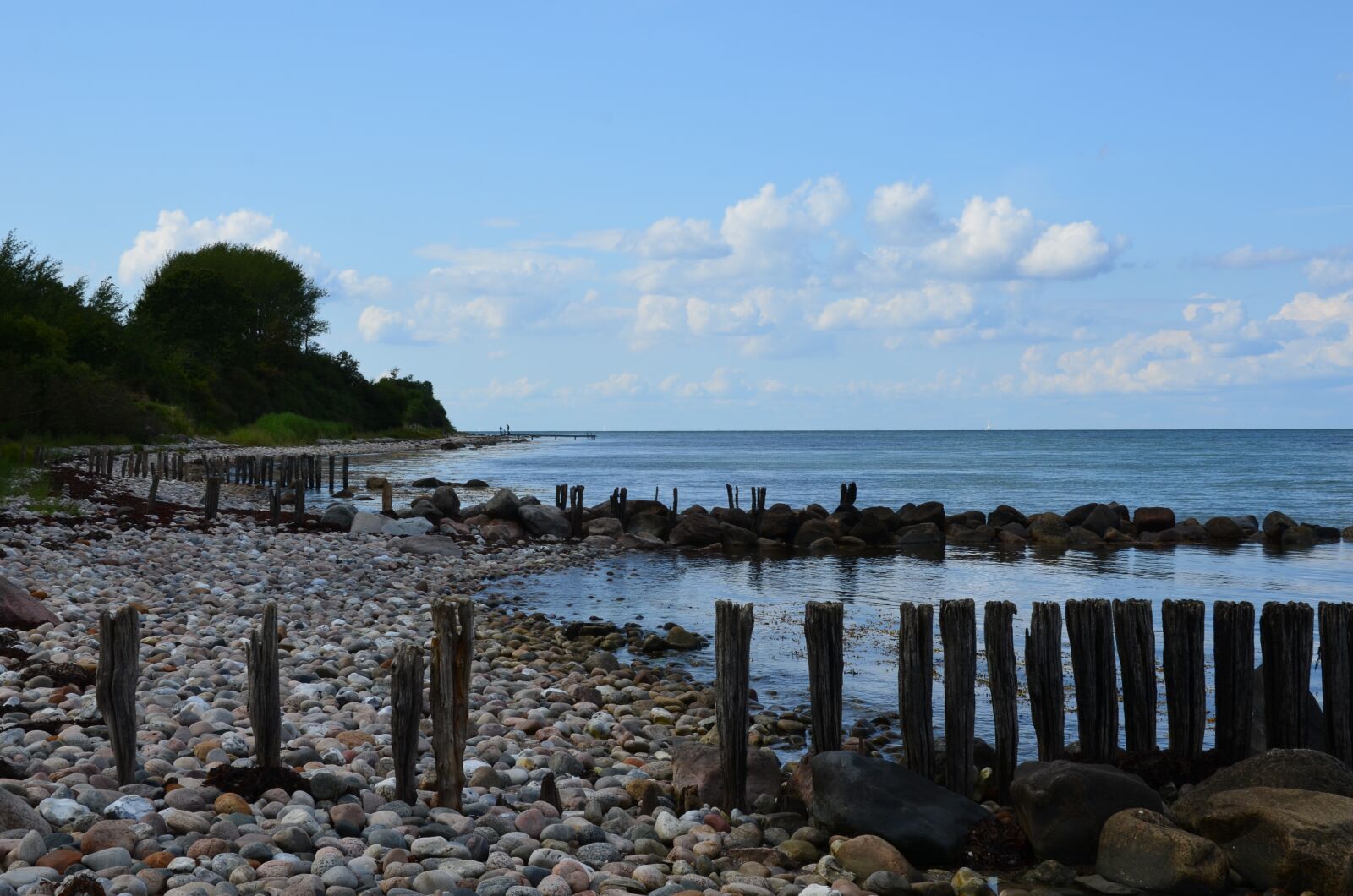 Nikon D5100 sample photo. Beach, wooden posts, stones photography