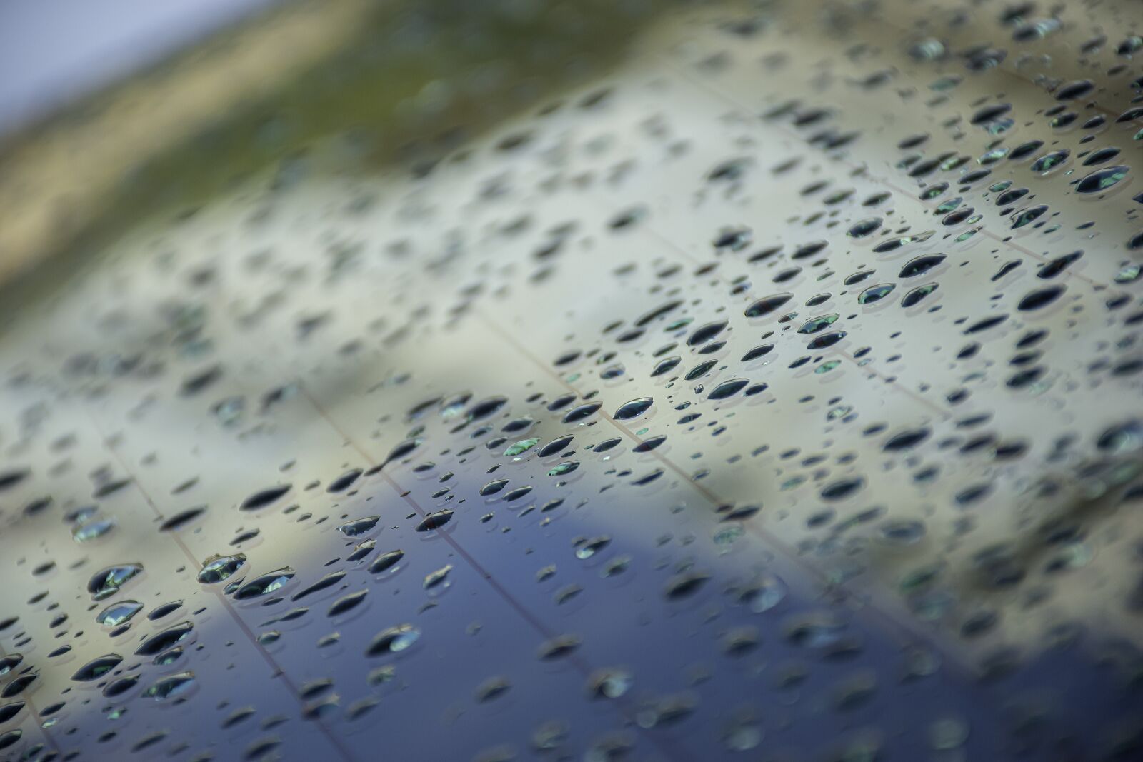 Nikon D5600 sample photo. Drops, water, liquid photography