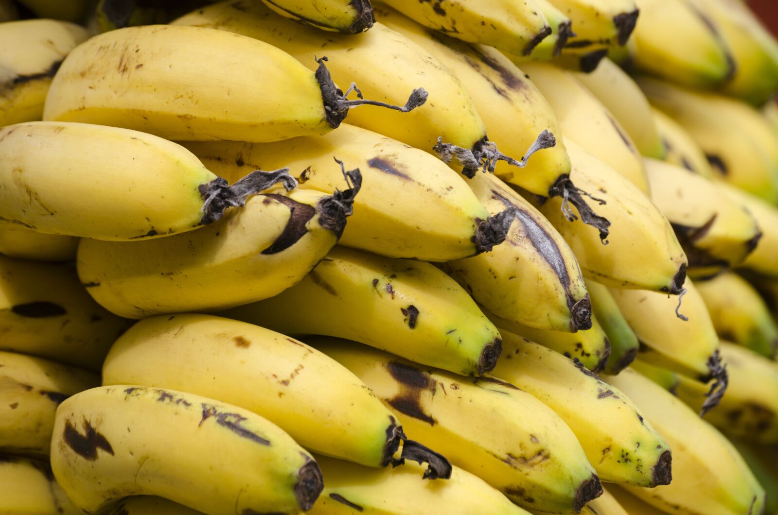 Nikon D5100 sample photo. Fruit, banana, food photography