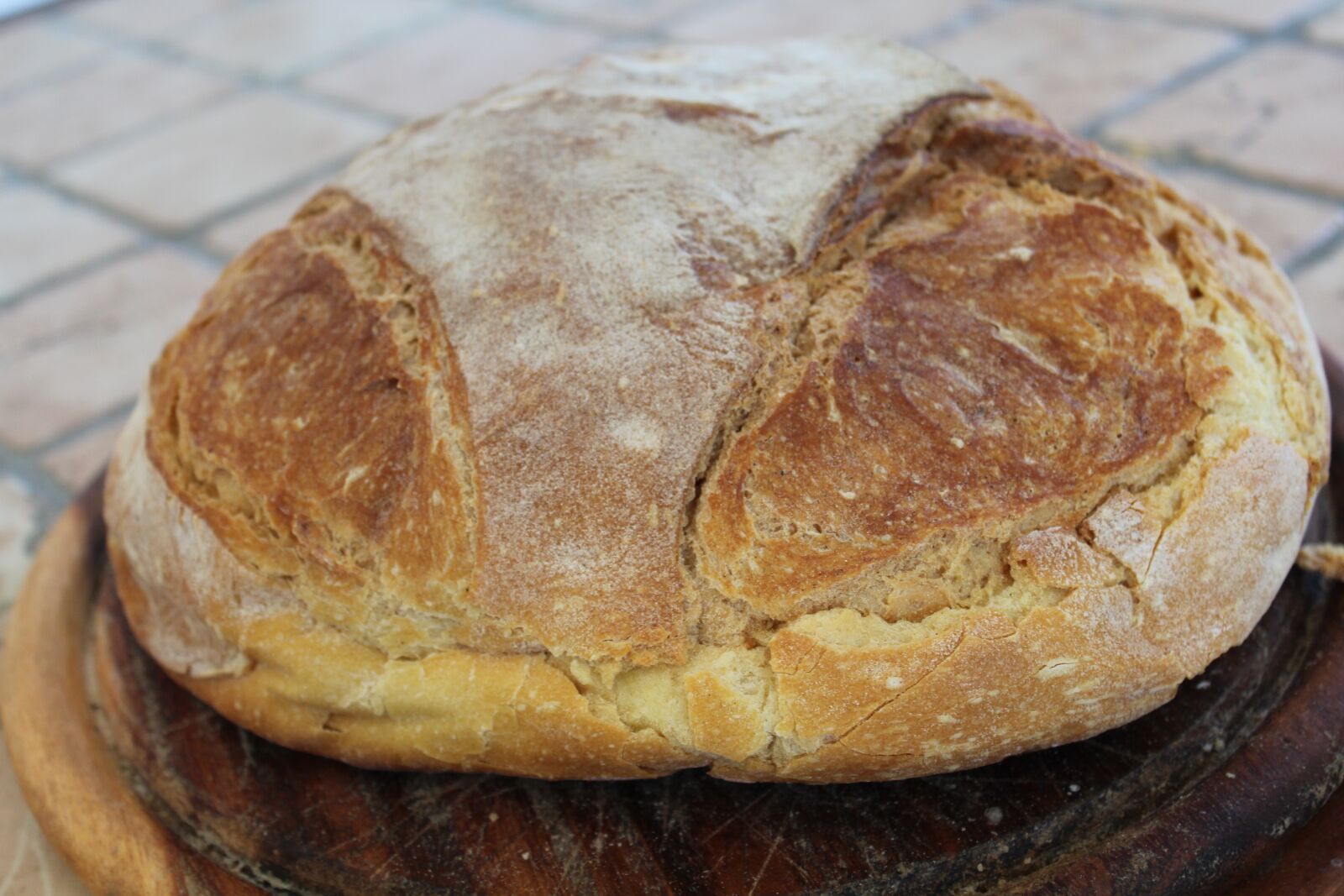Canon EOS 1200D (EOS Rebel T5 / EOS Kiss X70 / EOS Hi) sample photo. Bread, loaf, pane di photography