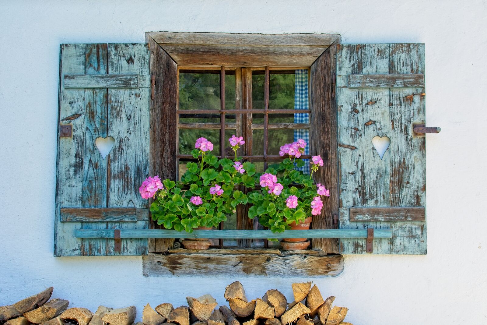 Nikon D7100 sample photo. Window, flower, flowers photography