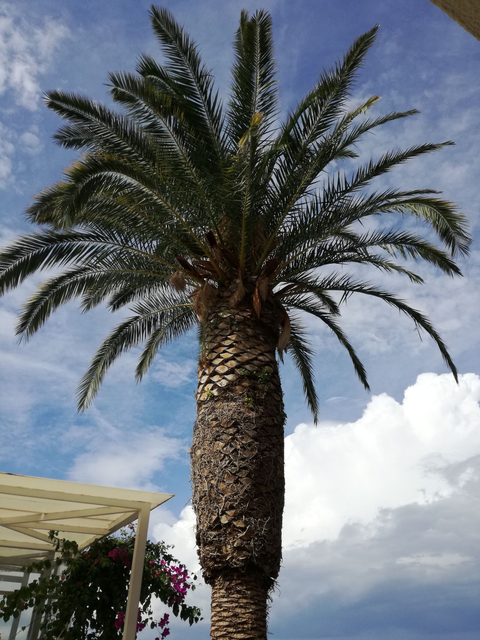 HUAWEI P9 LITE sample photo. Palma, croatia, podgora photography