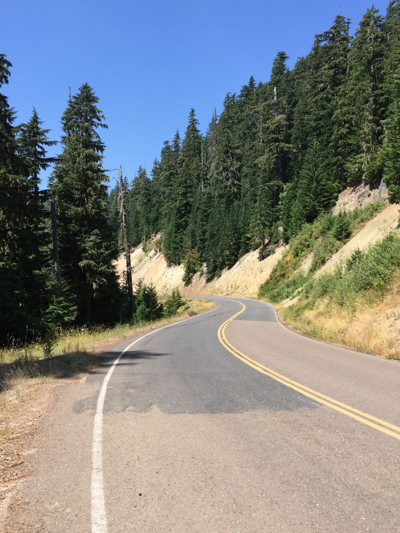 Apple iPhone 6 sample photo. Road, national forest, forest photography