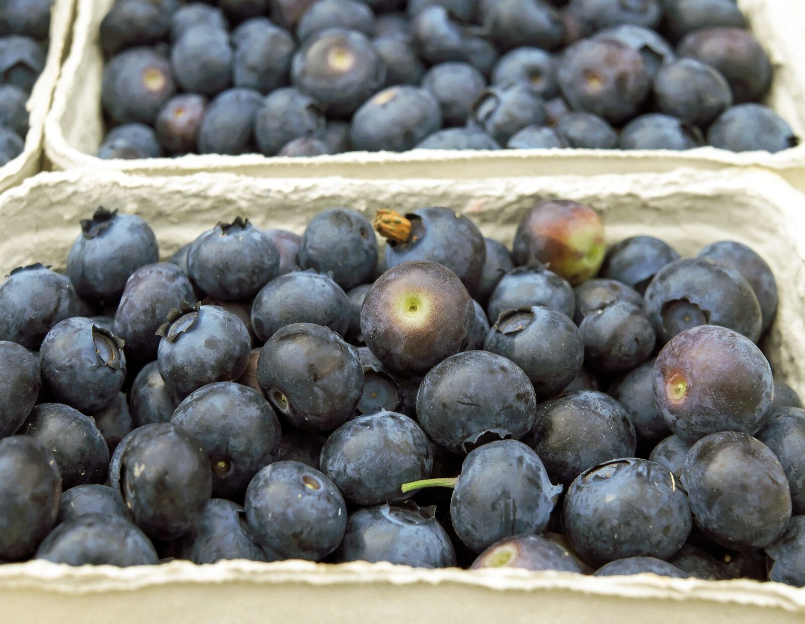 Fujifilm X-T10 + Fujifilm XF 35mm F1.4 R sample photo. Blueberries, berries, fruit photography