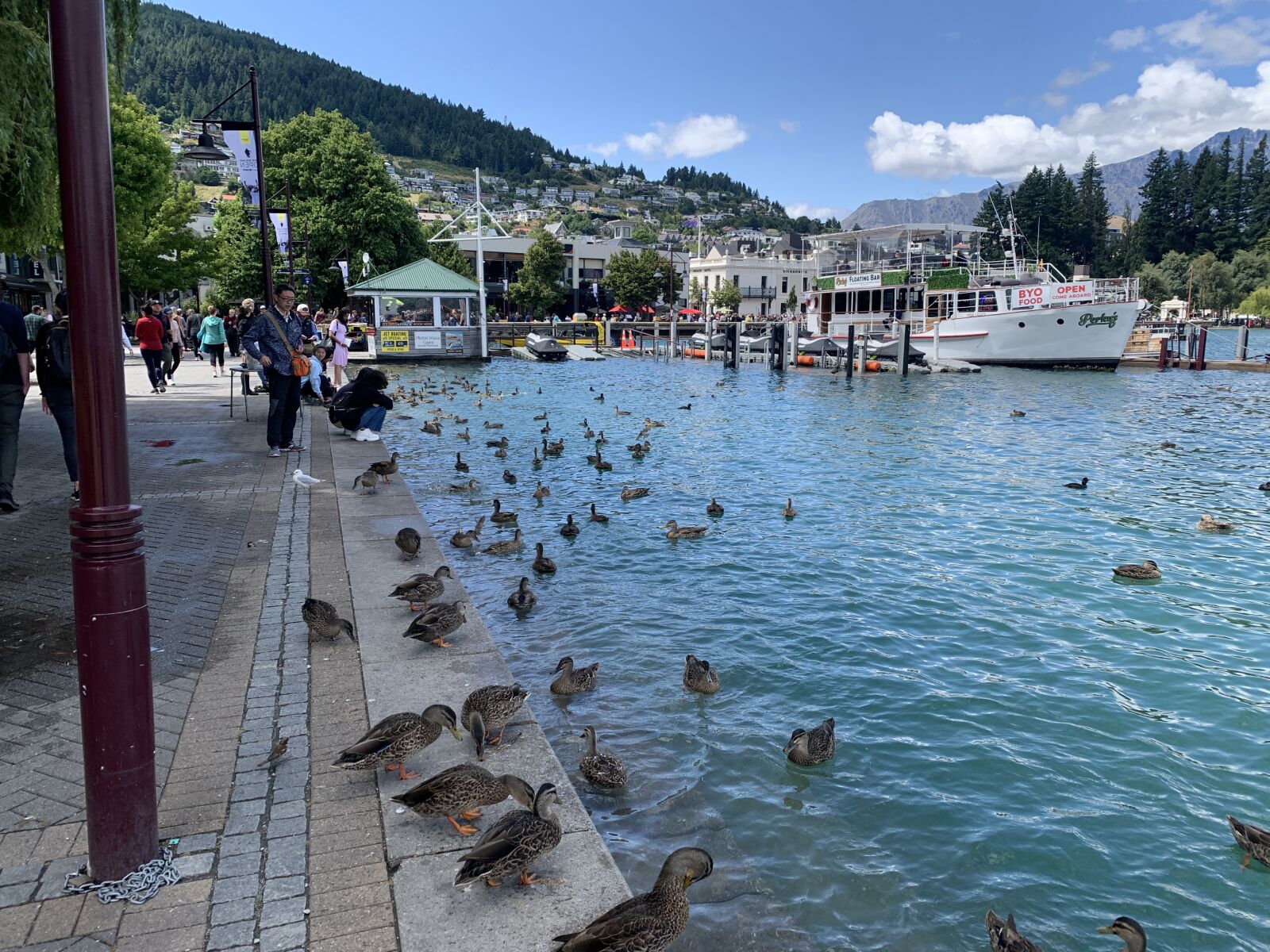 iPhone XS back dual camera 4.25mm f/1.8 sample photo. Ducks, queenstown, feed photography