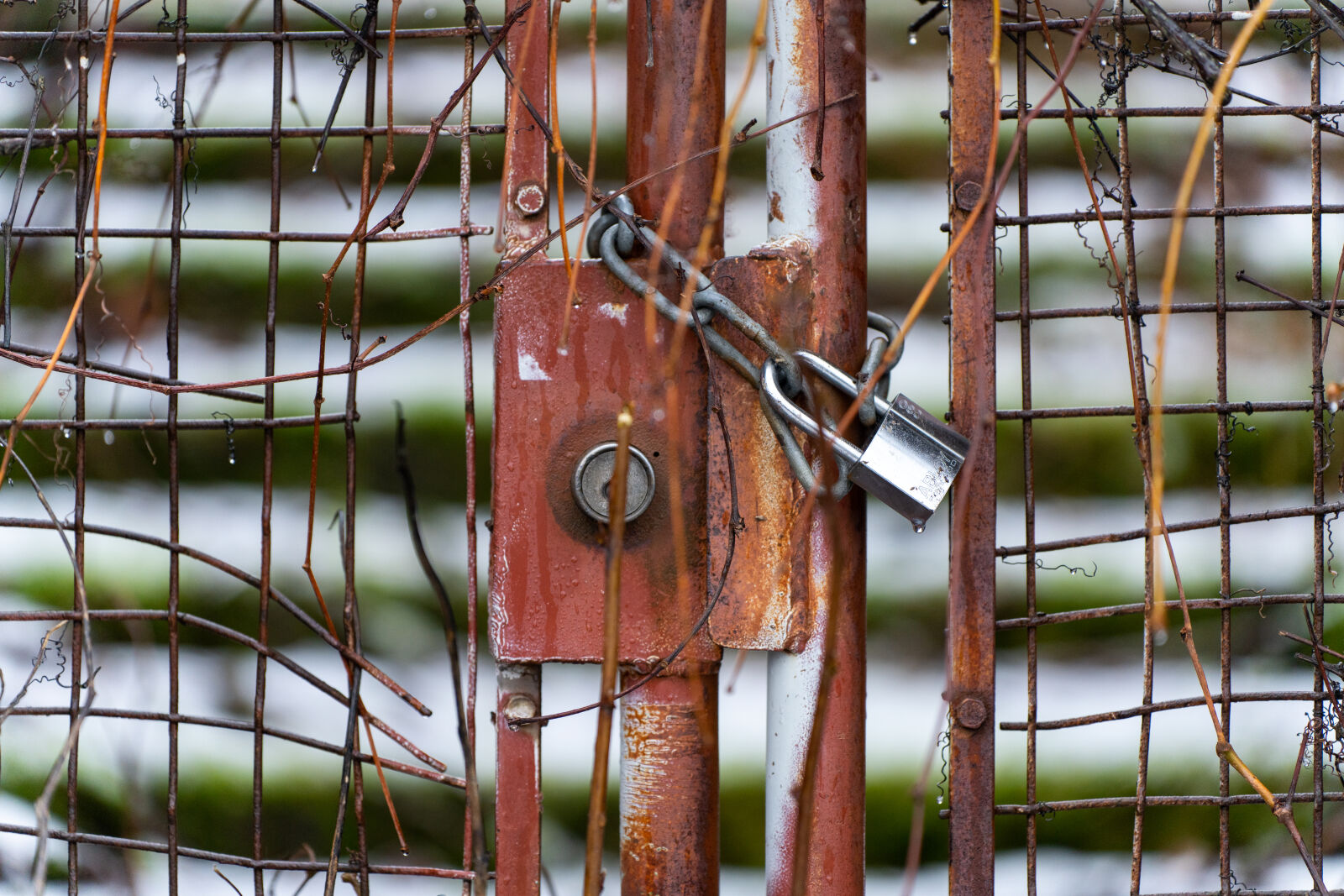Sony a7R IV + Tamron 35-150mm F2-2.8 Di III VXD sample photo. Old fence photography