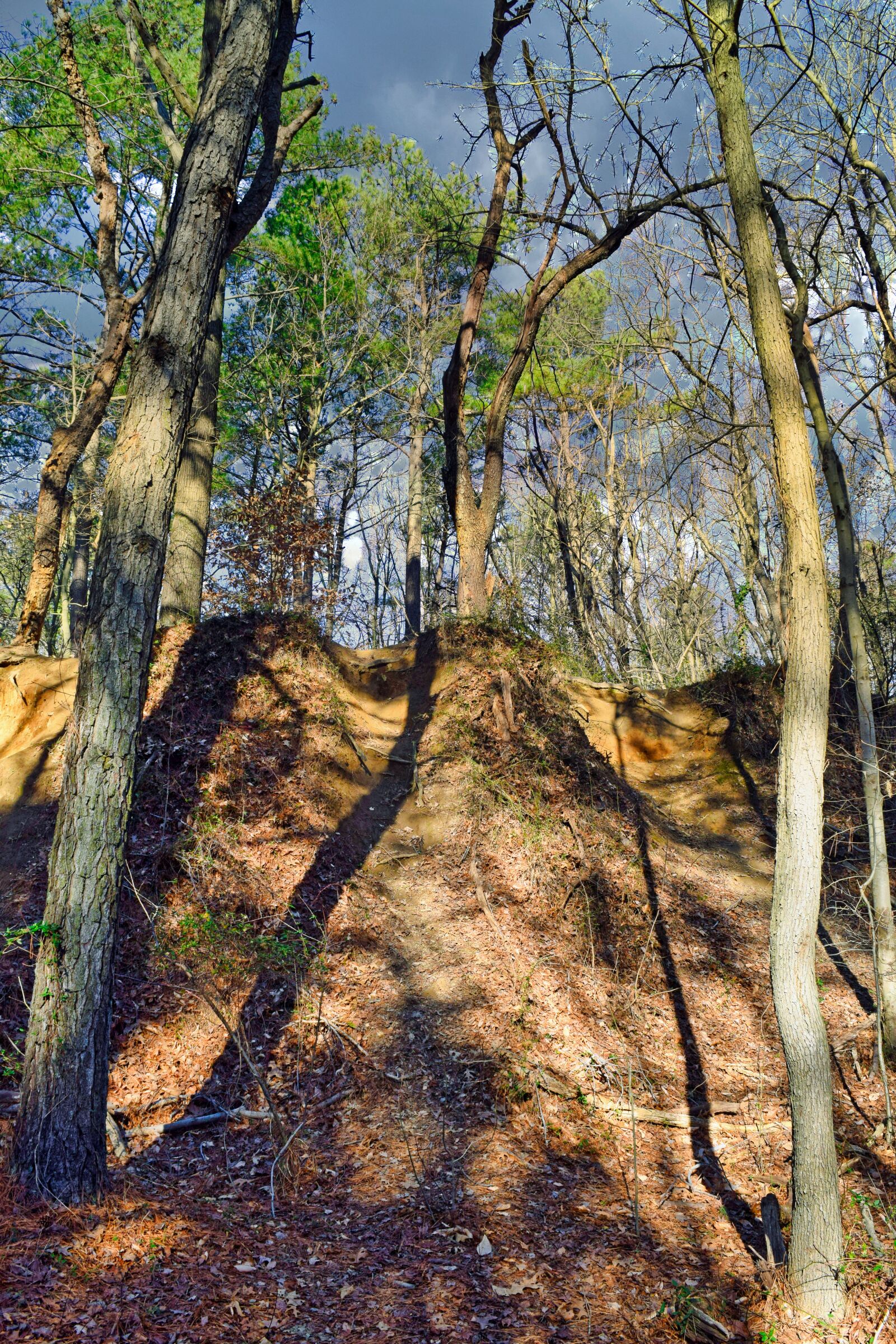 Nikon D3300 sample photo. Hill, dirt, forest photography