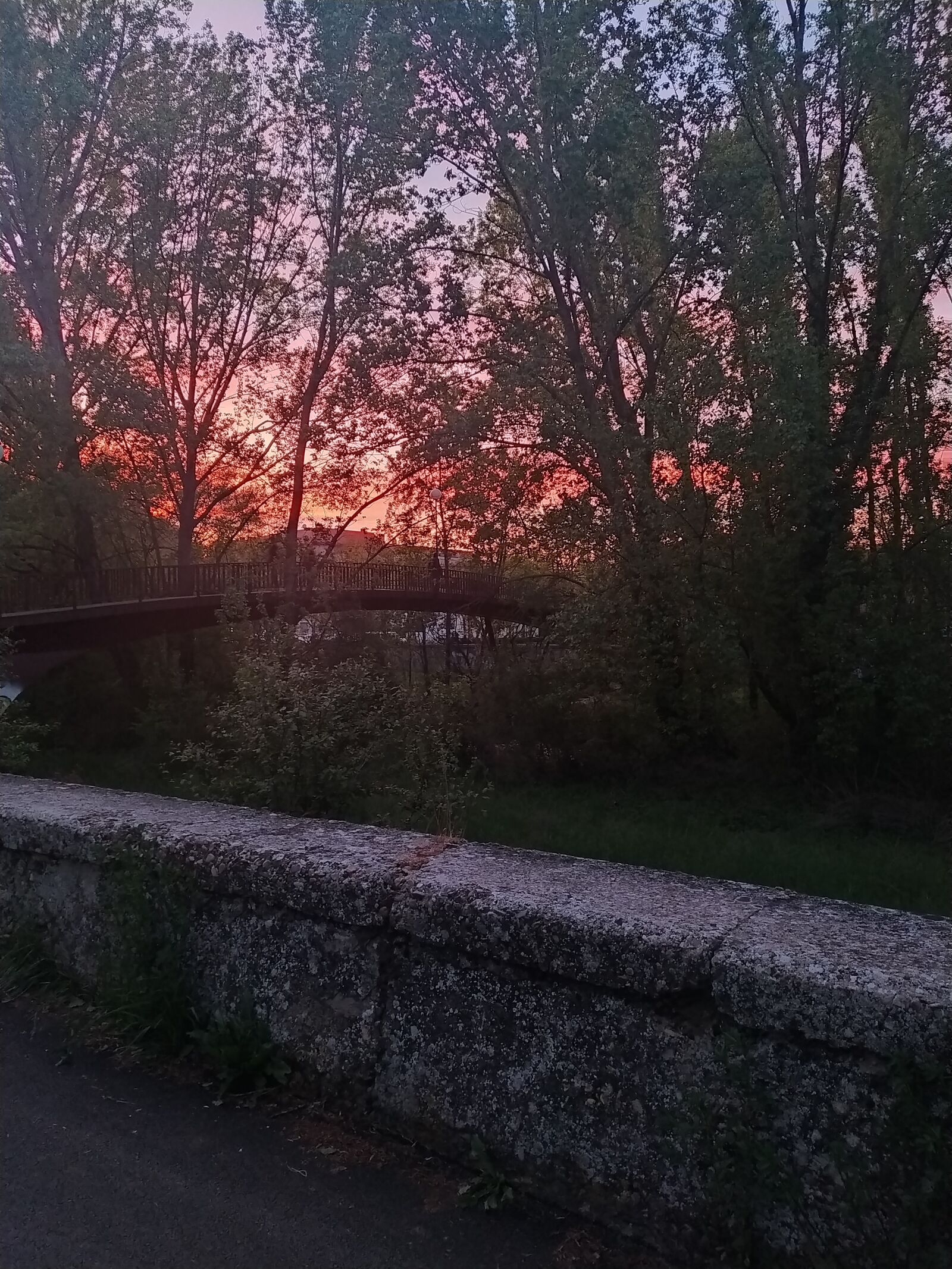 Xiaomi Redmi Note 8T sample photo. Sunset, burgos, nature photography