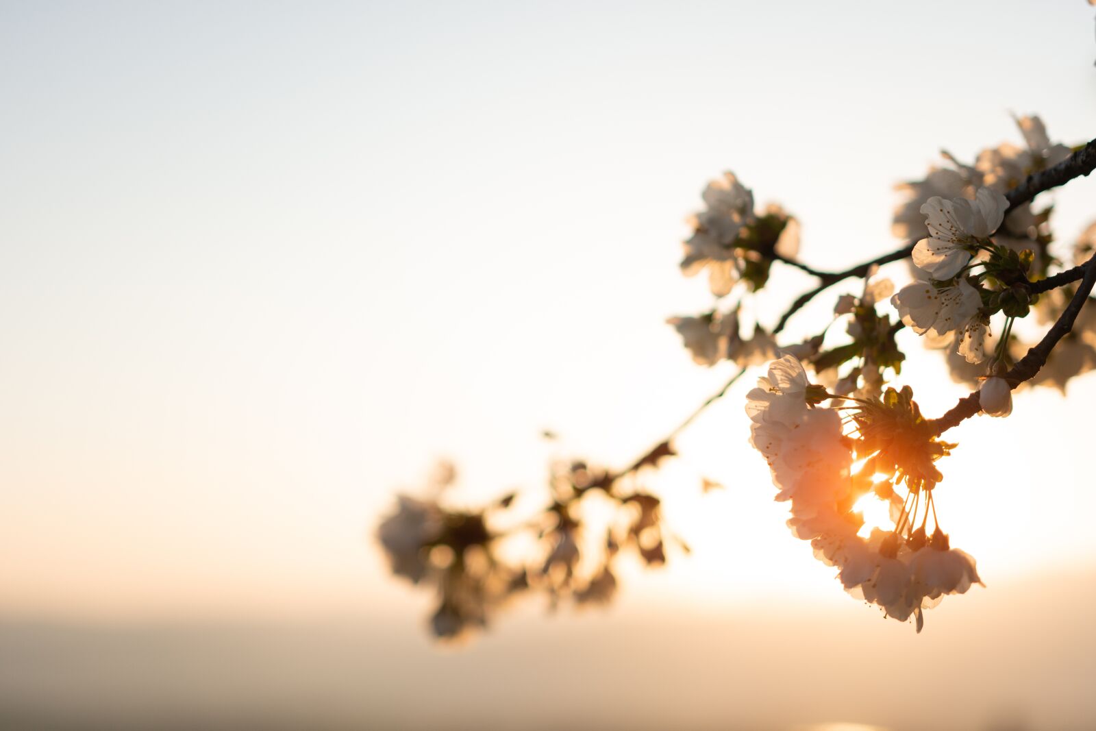 Nikon D7200 sample photo. Sun, sunrise, sunset photography