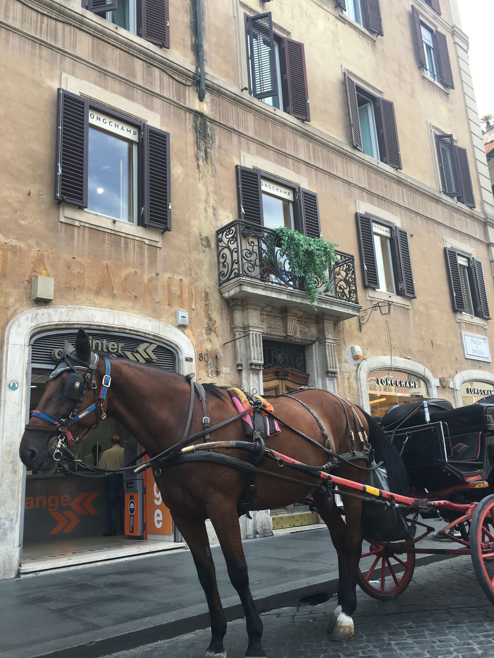 Apple iPhone 6s Plus sample photo. Rome, horse, carriage photography