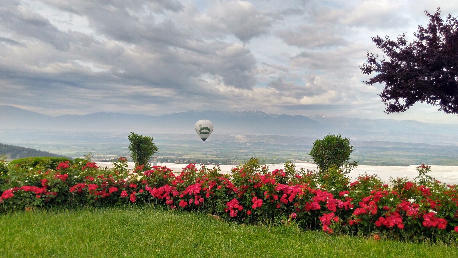 Motorola Moto G Play sample photo. Pamukalle, turkey, flowers photography