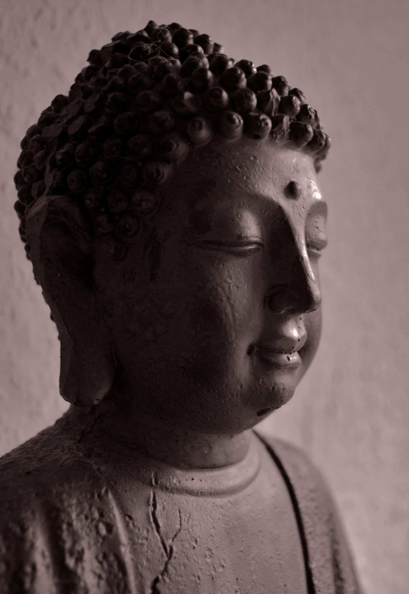 Nikon D5100 sample photo. Buddha, statue, bust photography