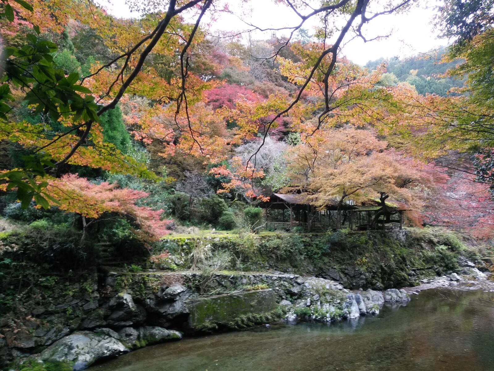 ZTE Z957 sample photo. Japan, kyoto, autumn photography