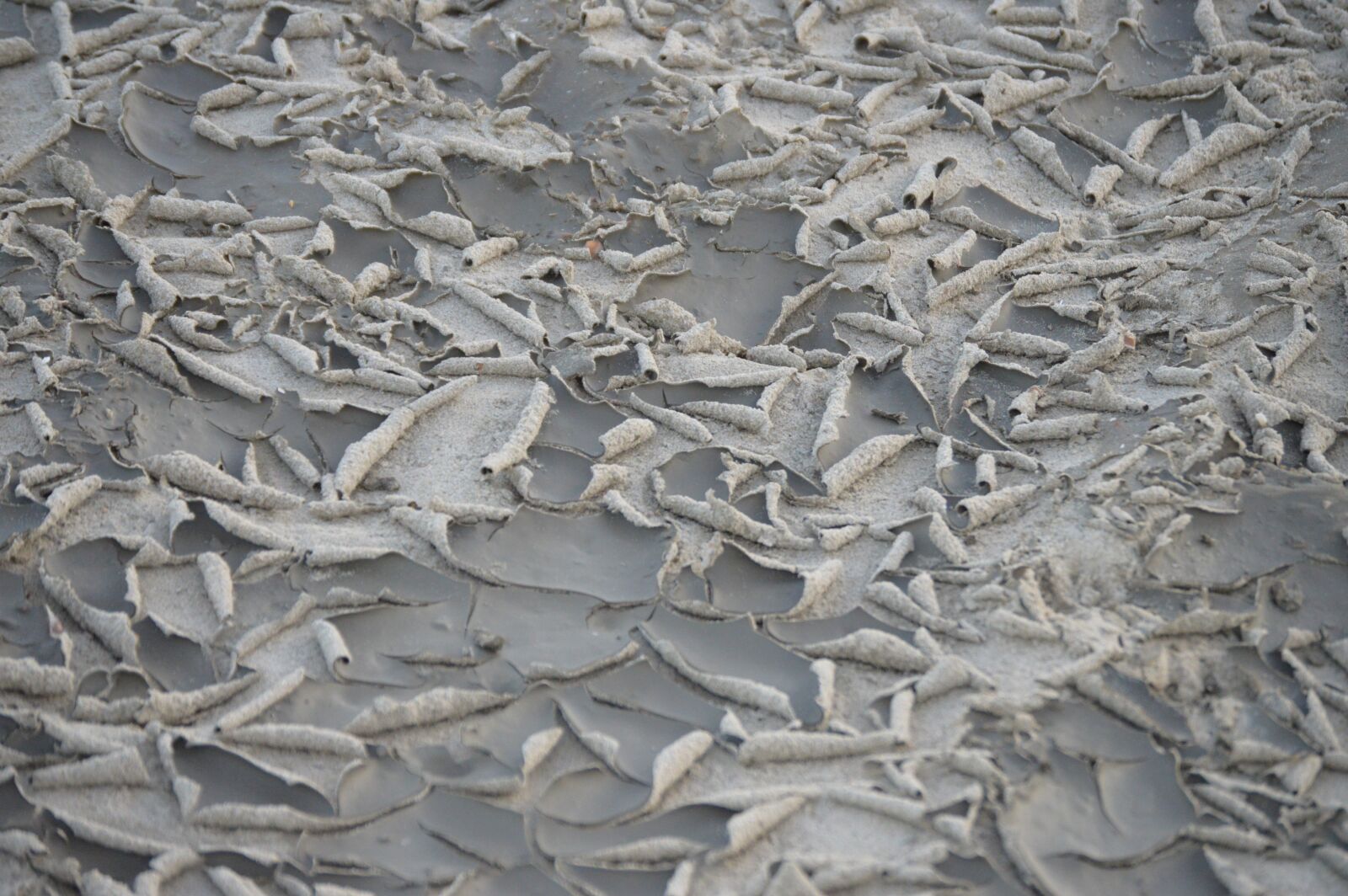 Nikon D3200 sample photo. Impressions, holland, north sea photography