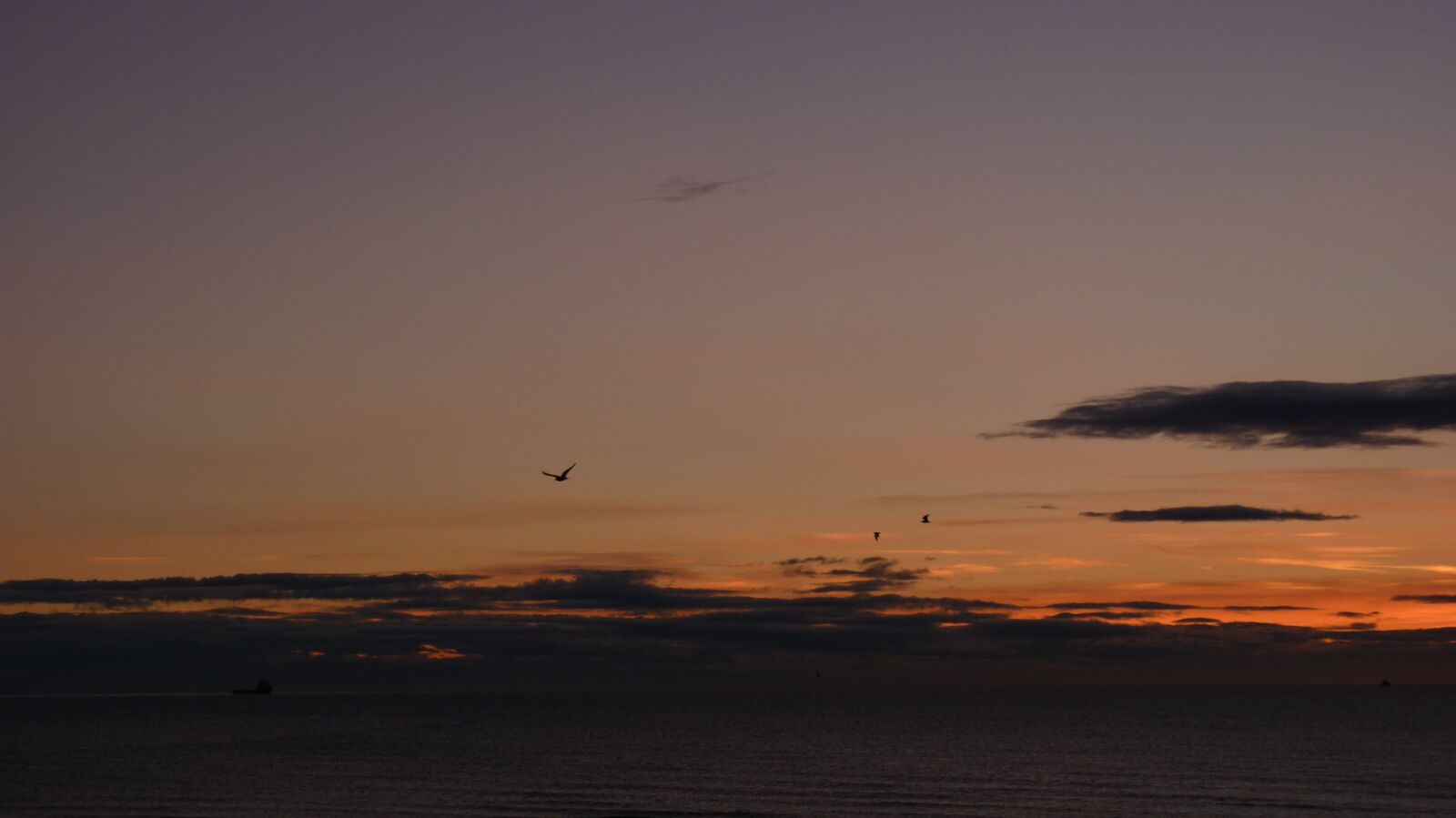 Panasonic Lumix DMC-FZ35 (Lumix DMC-FZ38) sample photo. Sunrise, sunset, dawn photography