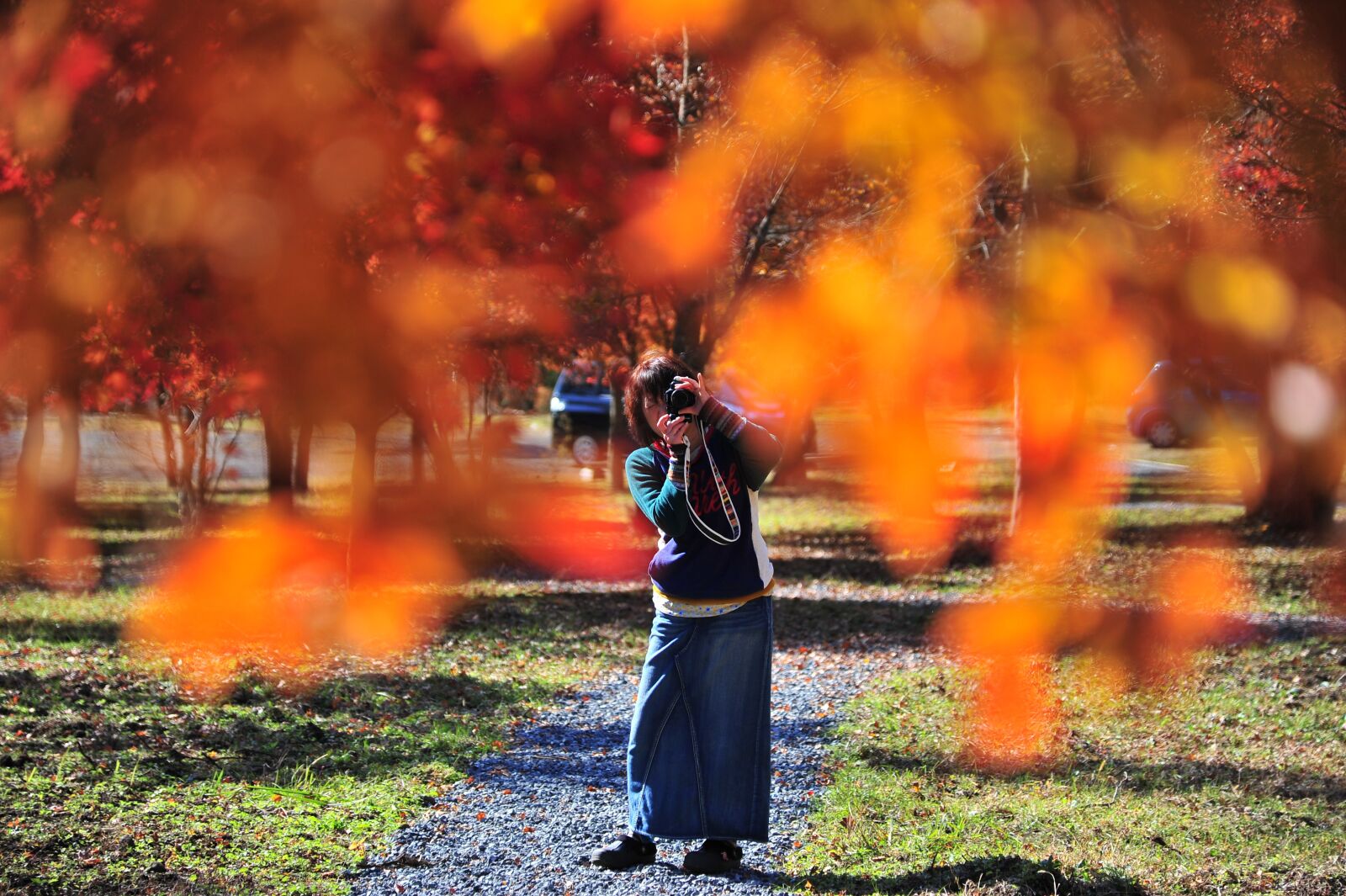 Nikon D700 sample photo. Autumnal leaves, photographer, autumn photography