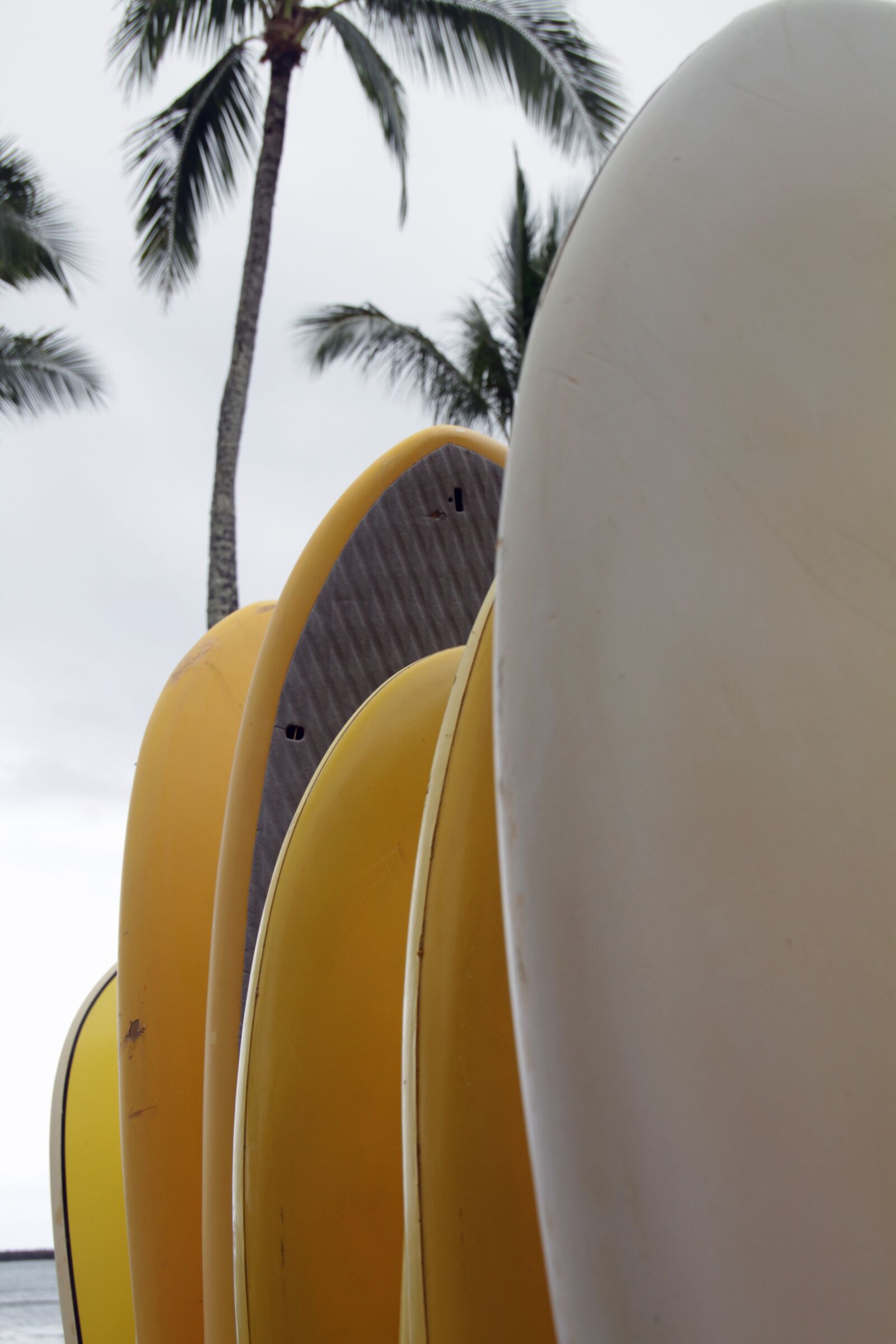 Canon EOS 7D sample photo. Surf, board, surfing photography